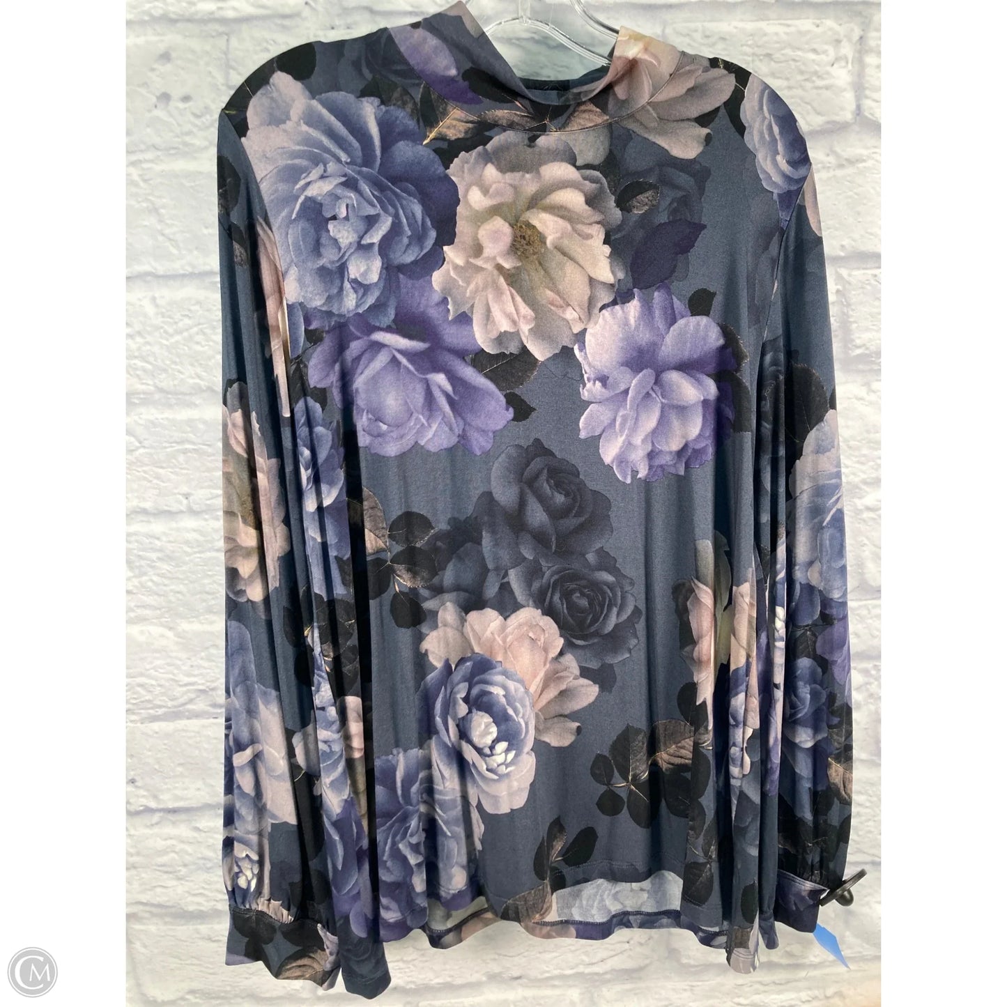 Top Long Sleeve By Johnny Was In Blue & Brown, Size: L