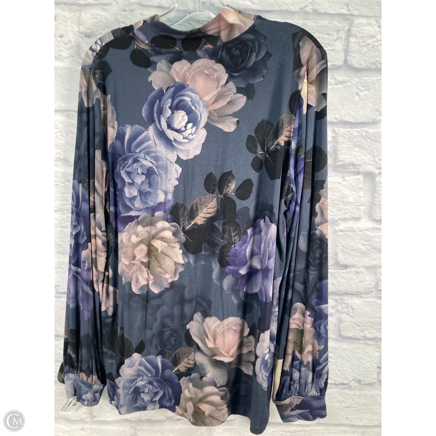 Top Long Sleeve By Johnny Was In Blue & Brown, Size: L