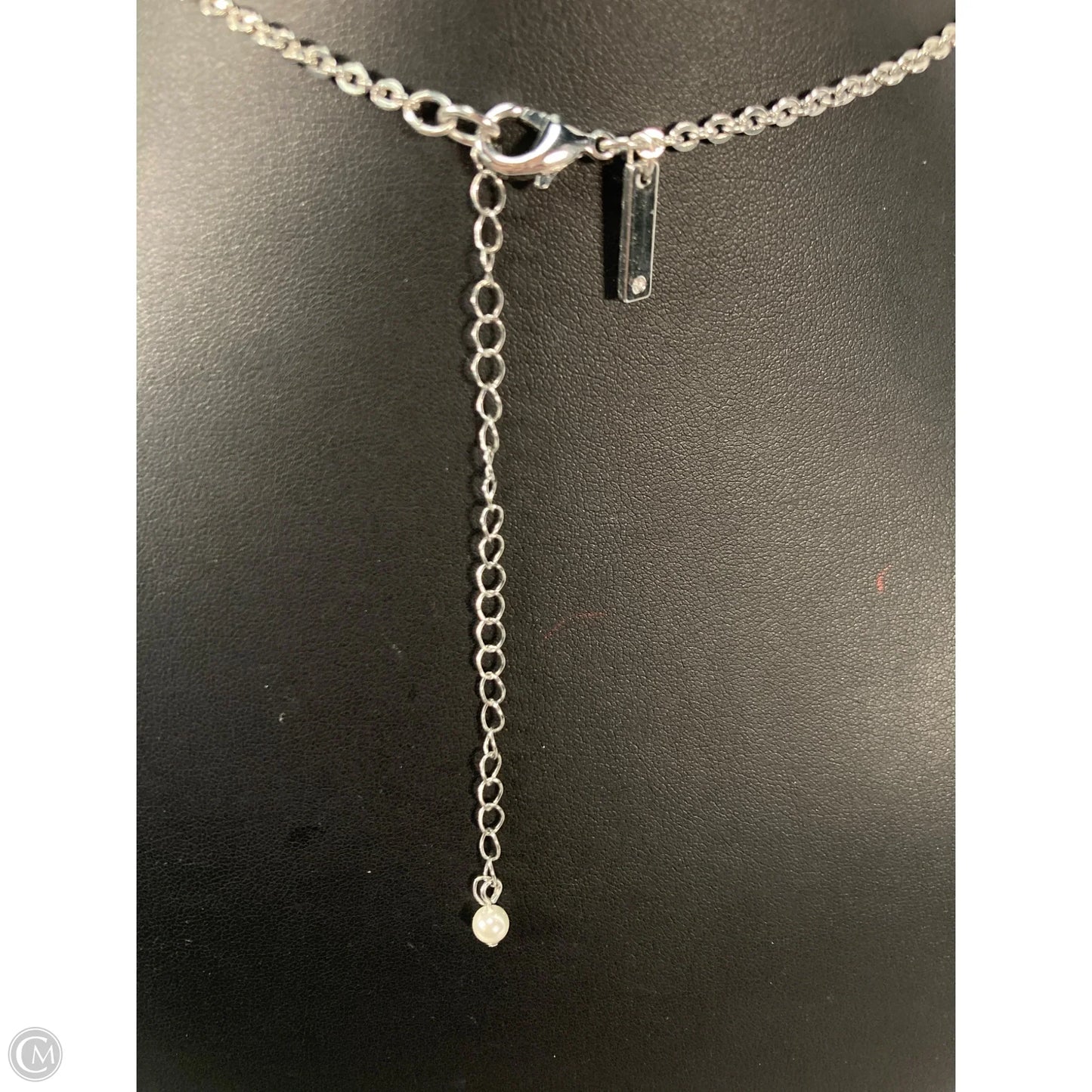 Necklace Lariat & Y-drop By White House Black Market