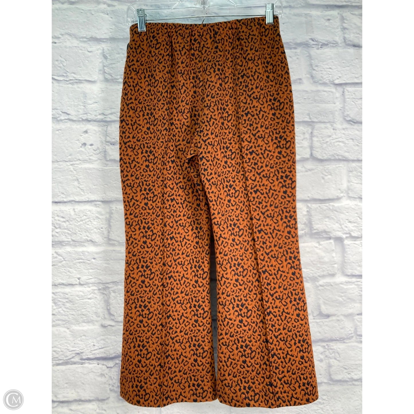Pants Other By Eva Franco In Animal Print, Size: 6p