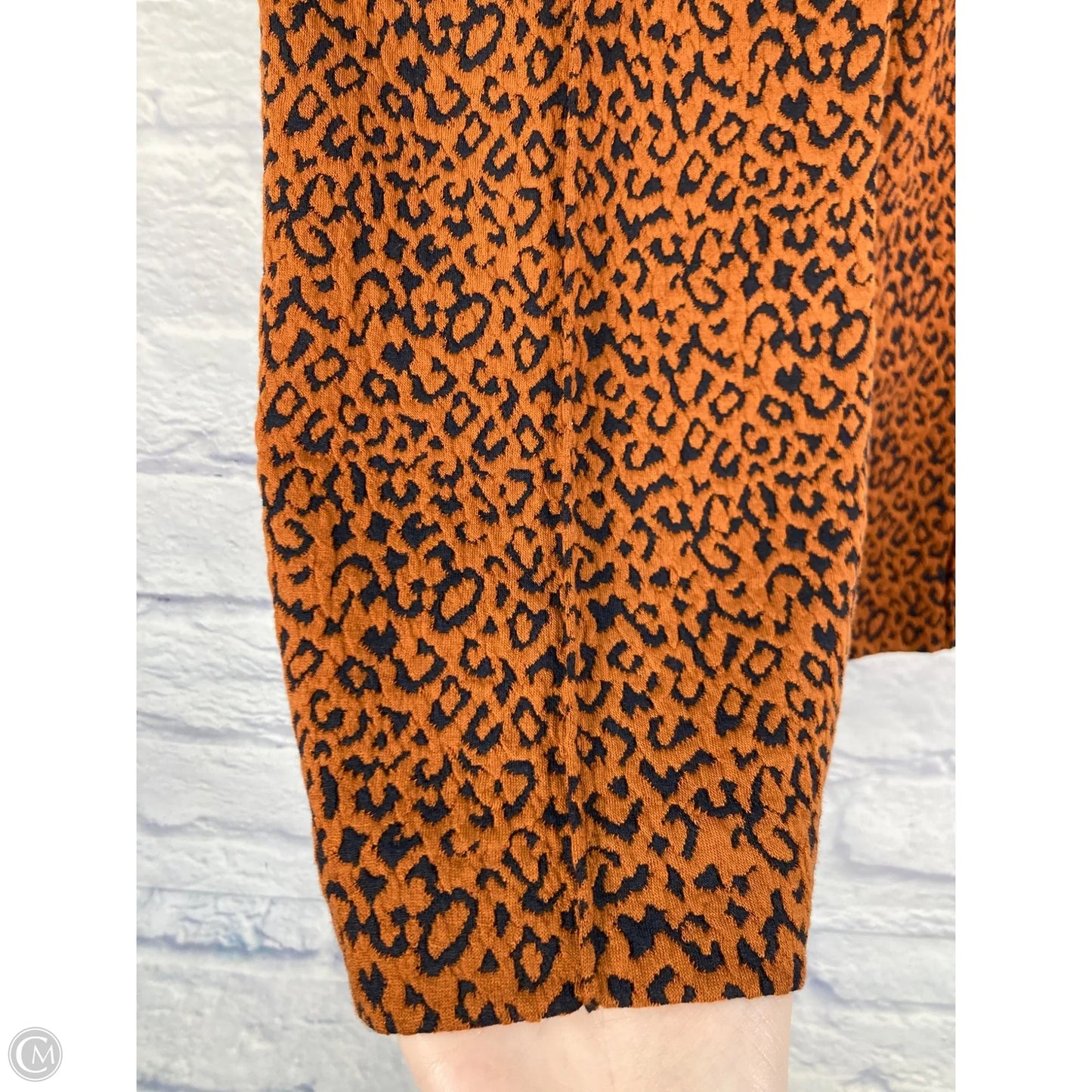 Pants Other By Eva Franco In Animal Print, Size: 6p
