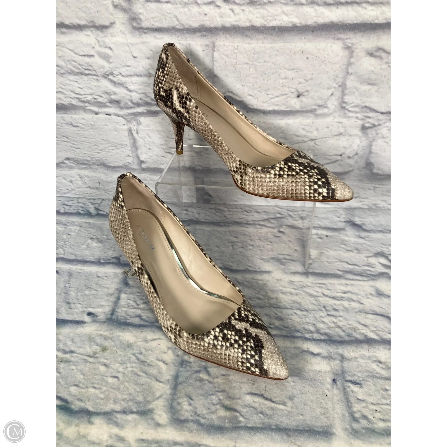 Shoes Designer By Coach In Snakeskin Print, Size: 7.5