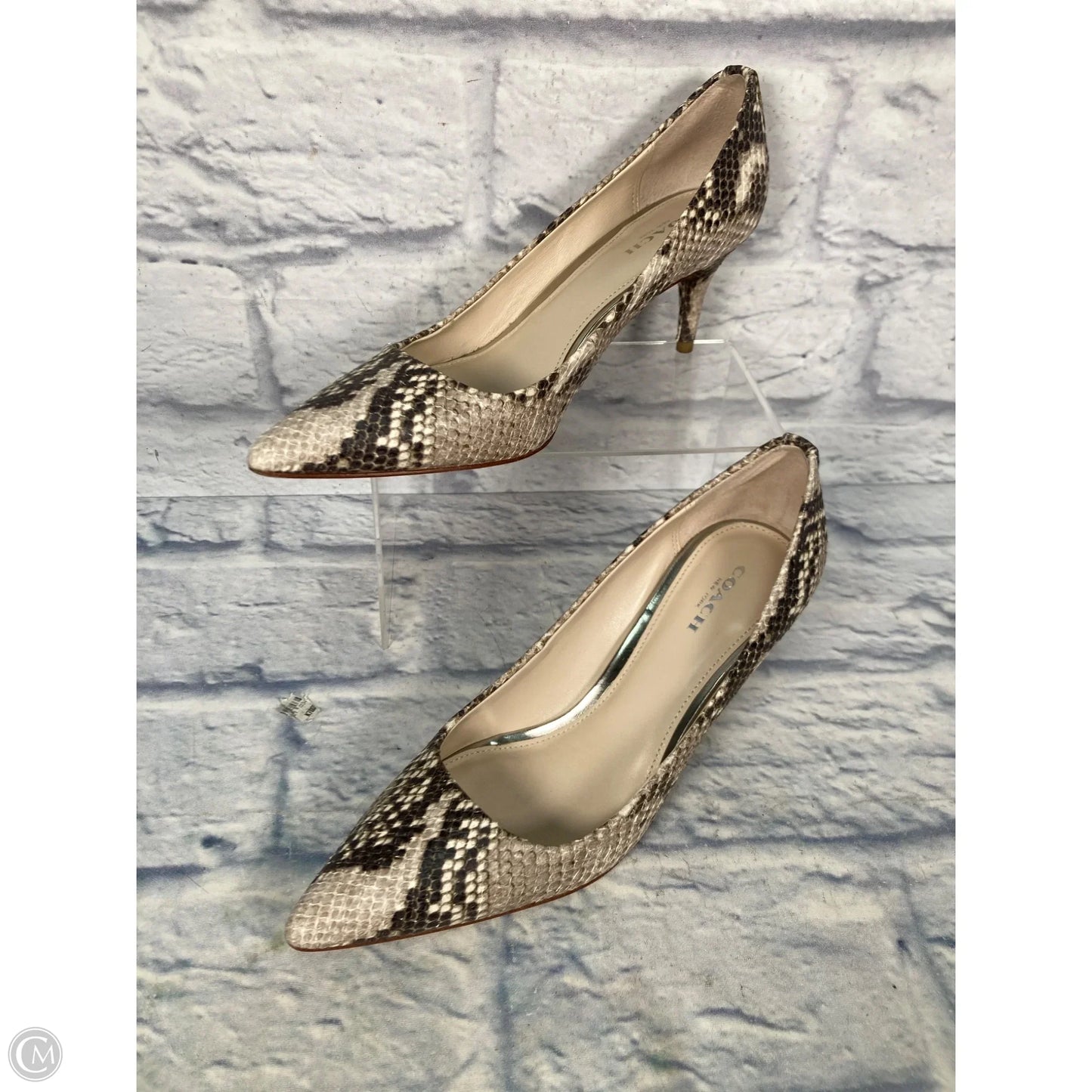 Shoes Designer By Coach In Snakeskin Print, Size: 7.5