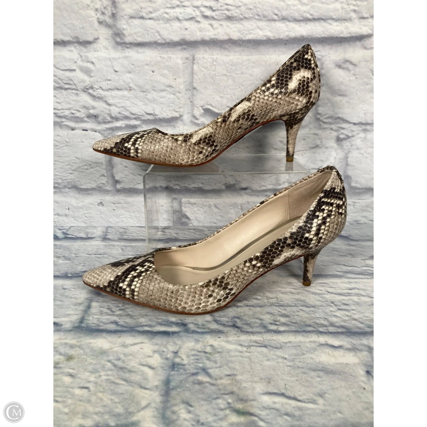Shoes Designer By Coach In Snakeskin Print, Size: 7.5
