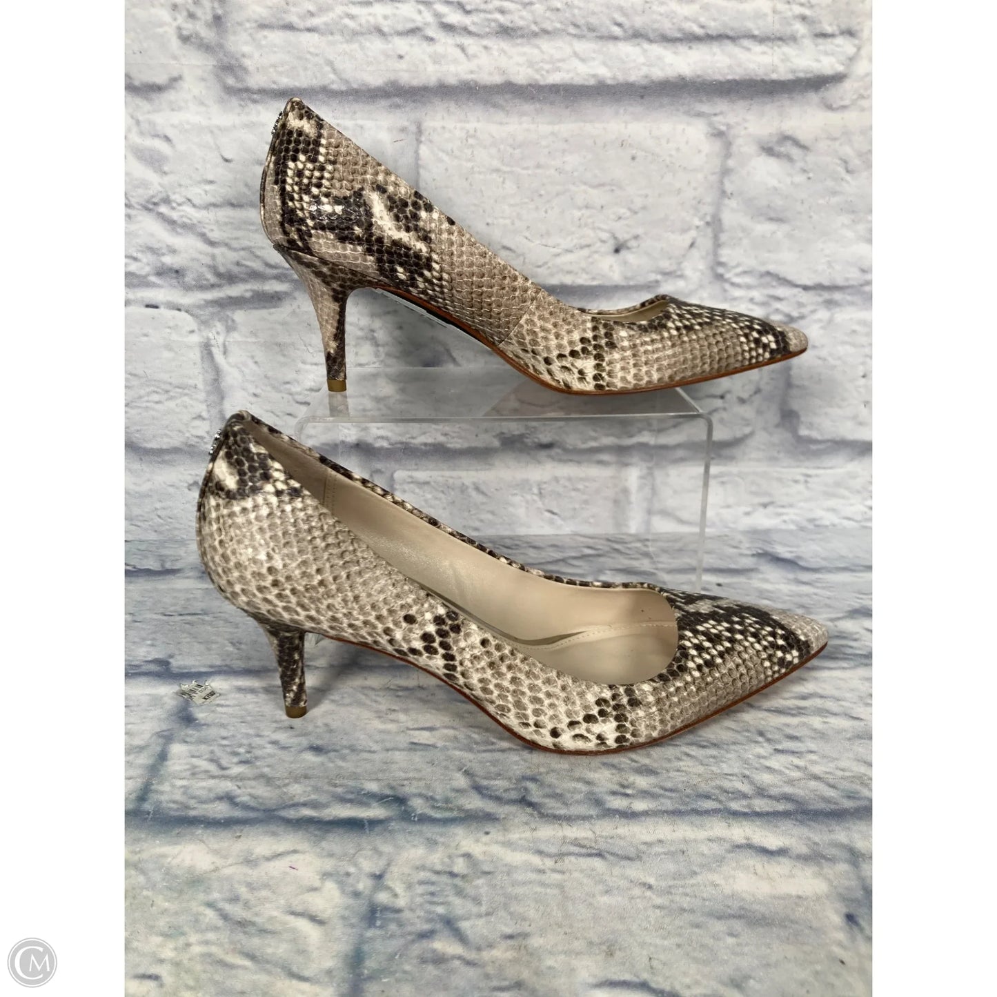 Shoes Designer By Coach In Snakeskin Print, Size: 7.5