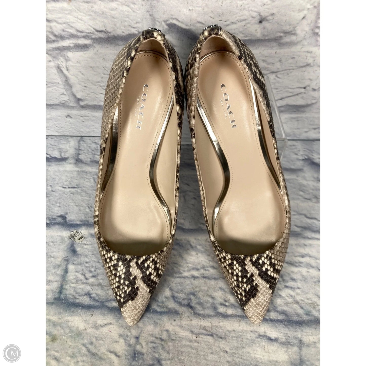 Shoes Designer By Coach In Snakeskin Print, Size: 7.5