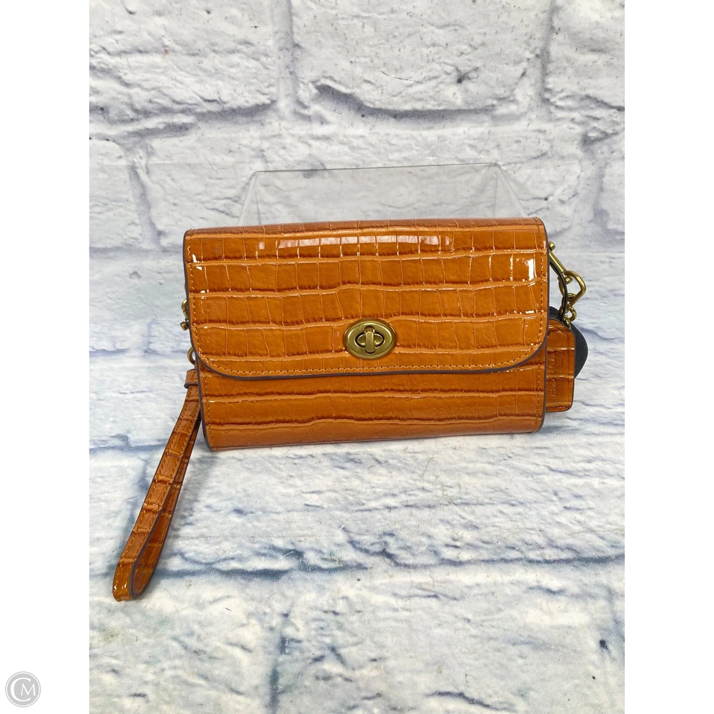 Crossbody Designer By Coach, Size: Small