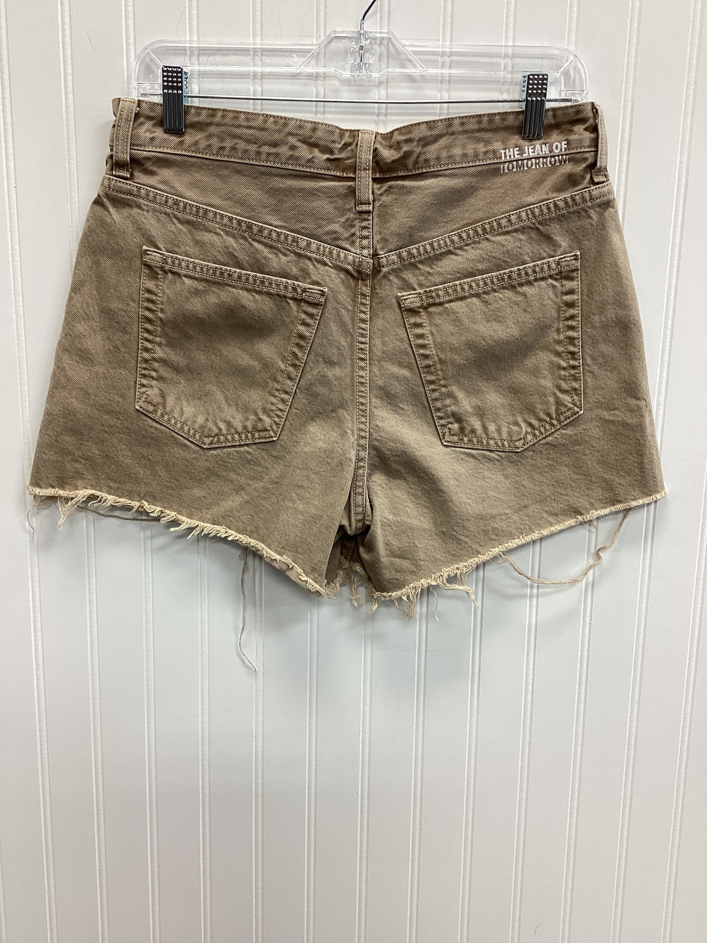 Shorts By Cmb In Brown Denim, Size:6