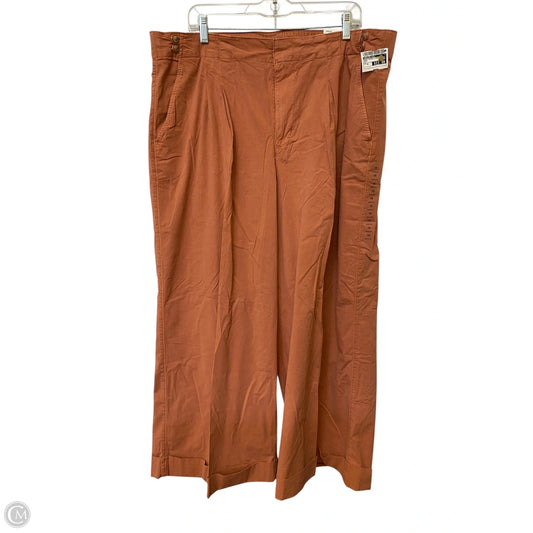 Pants Chinos & Khakis By American Eagle In Brown, Size: 18