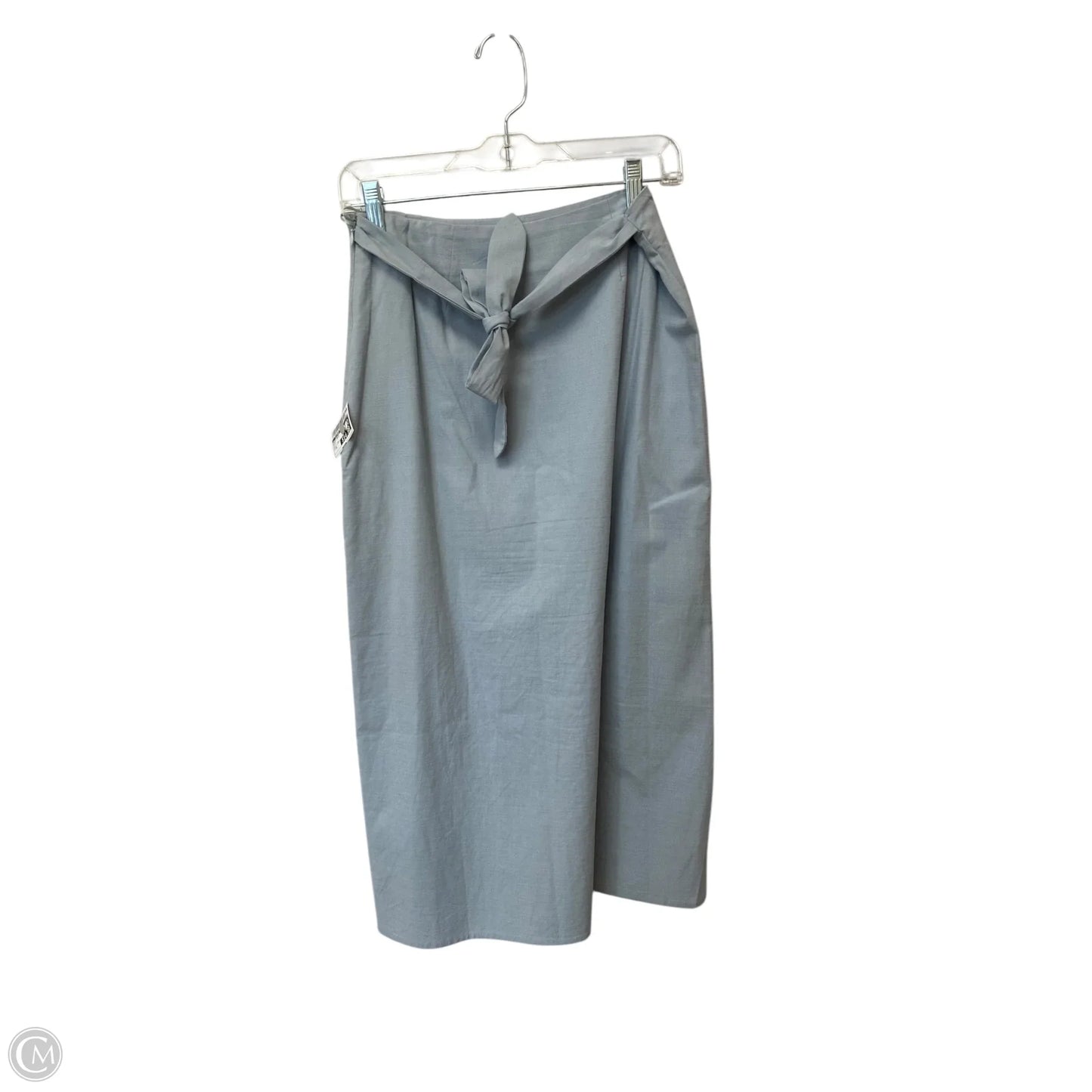 Skirt Maxi By Clothes Mentor In Blue, Size: M