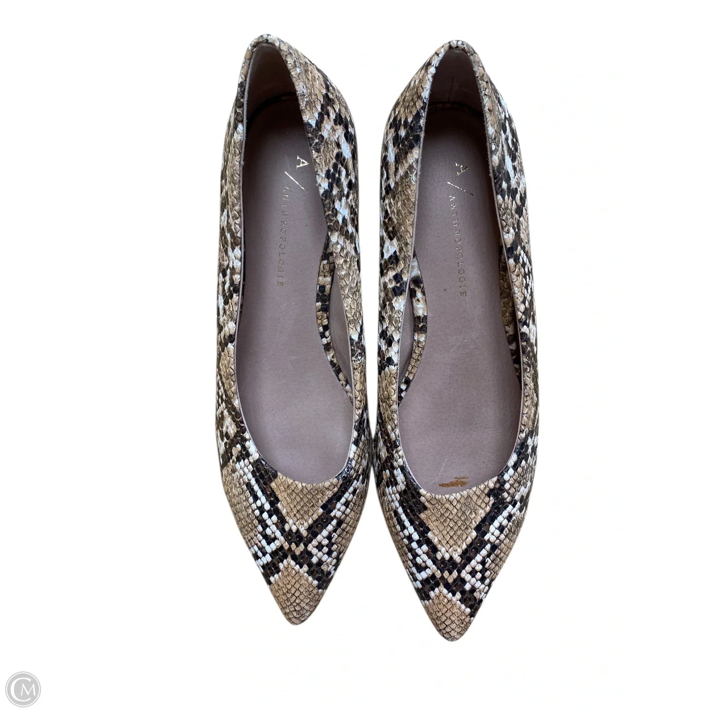 Shoes Heels Block By Anthropologie In Snakeskin Print, Size: 7