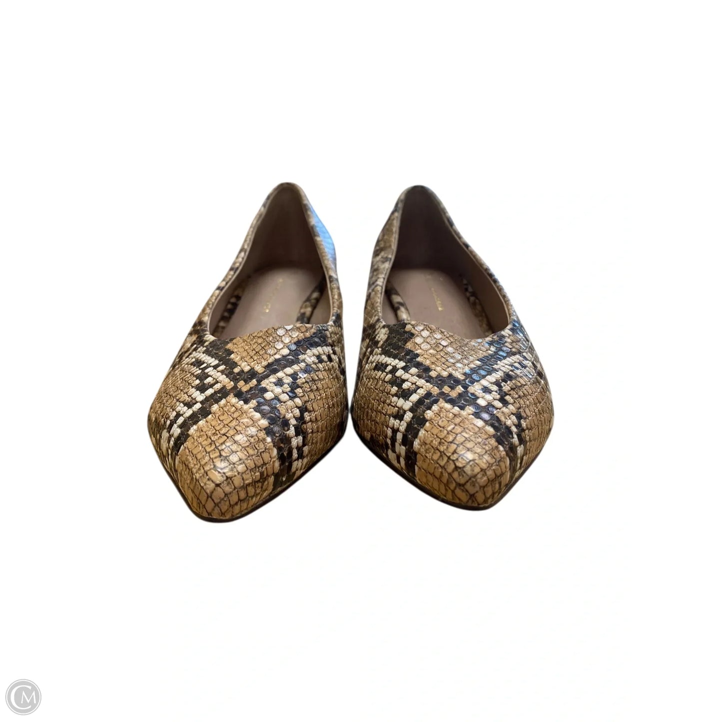 Shoes Heels Block By Anthropologie In Snakeskin Print, Size: 7