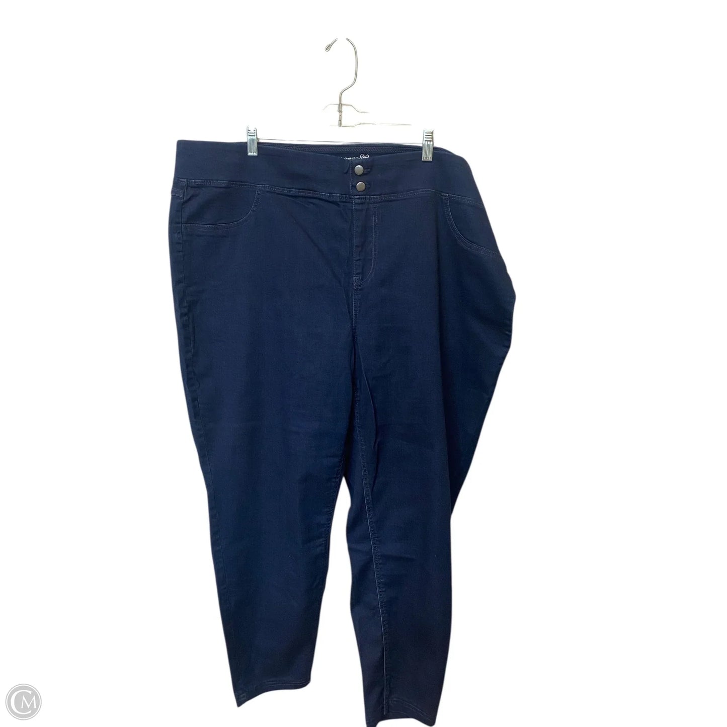 Jeans Skinny By Terra & Sky In Blue Denim, Size: 3x