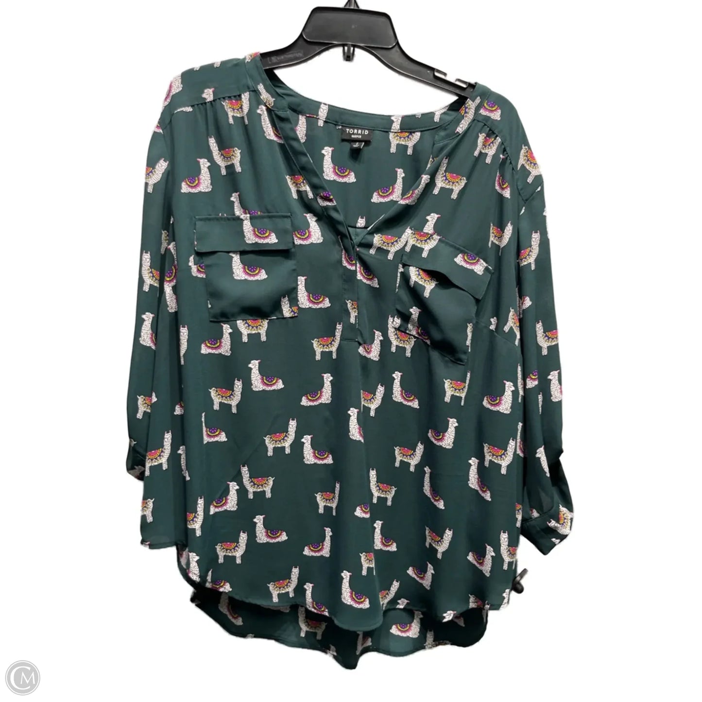 Top Long Sleeve By Torrid In Green & Pink, Size: 2x
