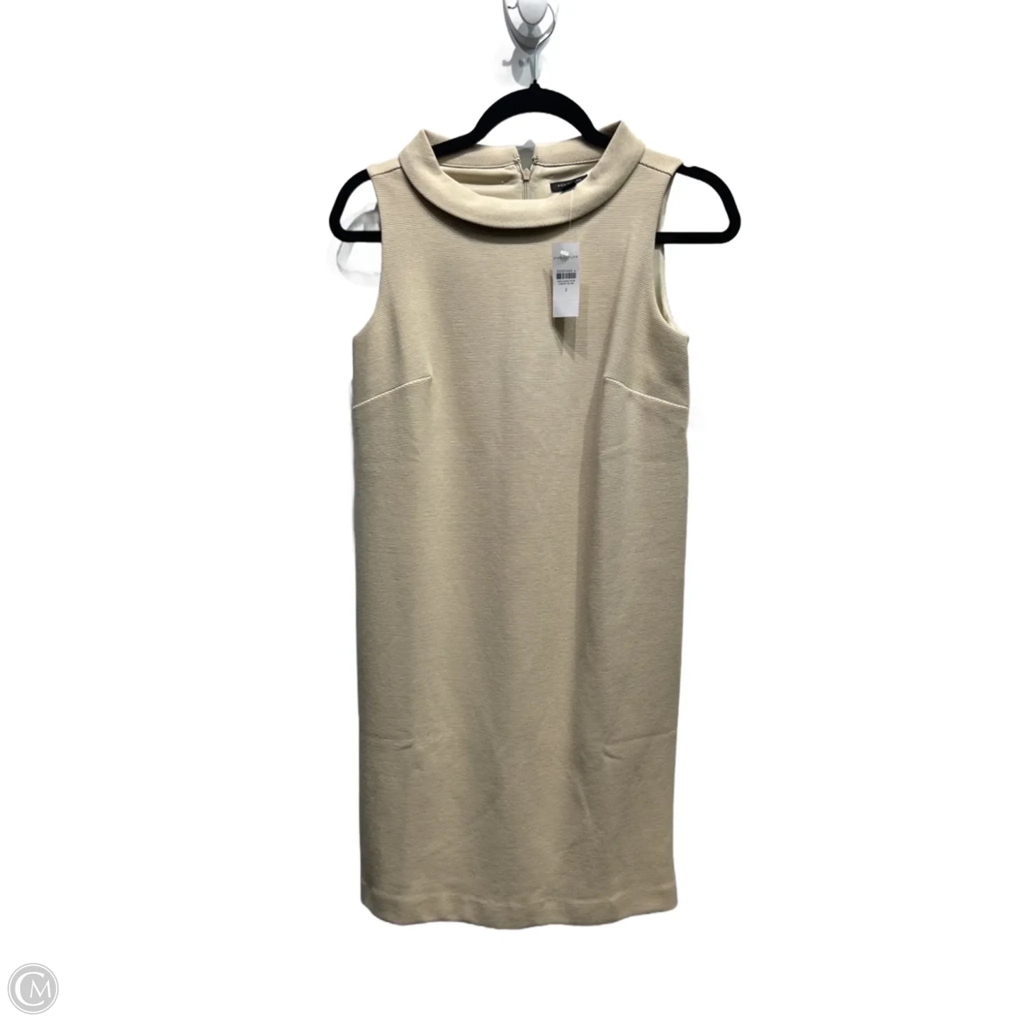 Dress Work By Ann Taylor In Tan, Size: 2