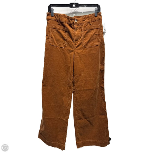 Pants Corduroy By Loft In Brown, Size: 6