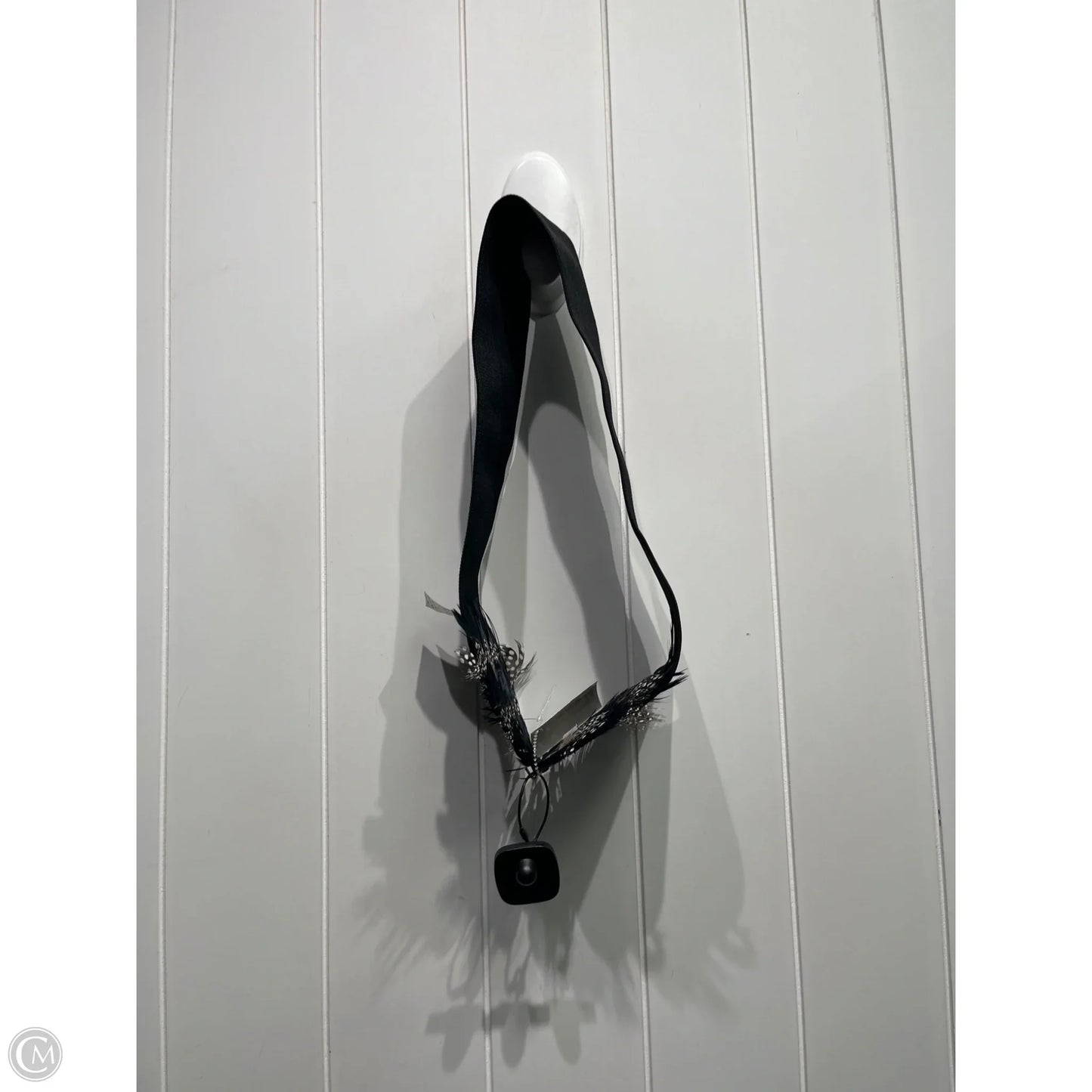 Belt By Clothes Mentor