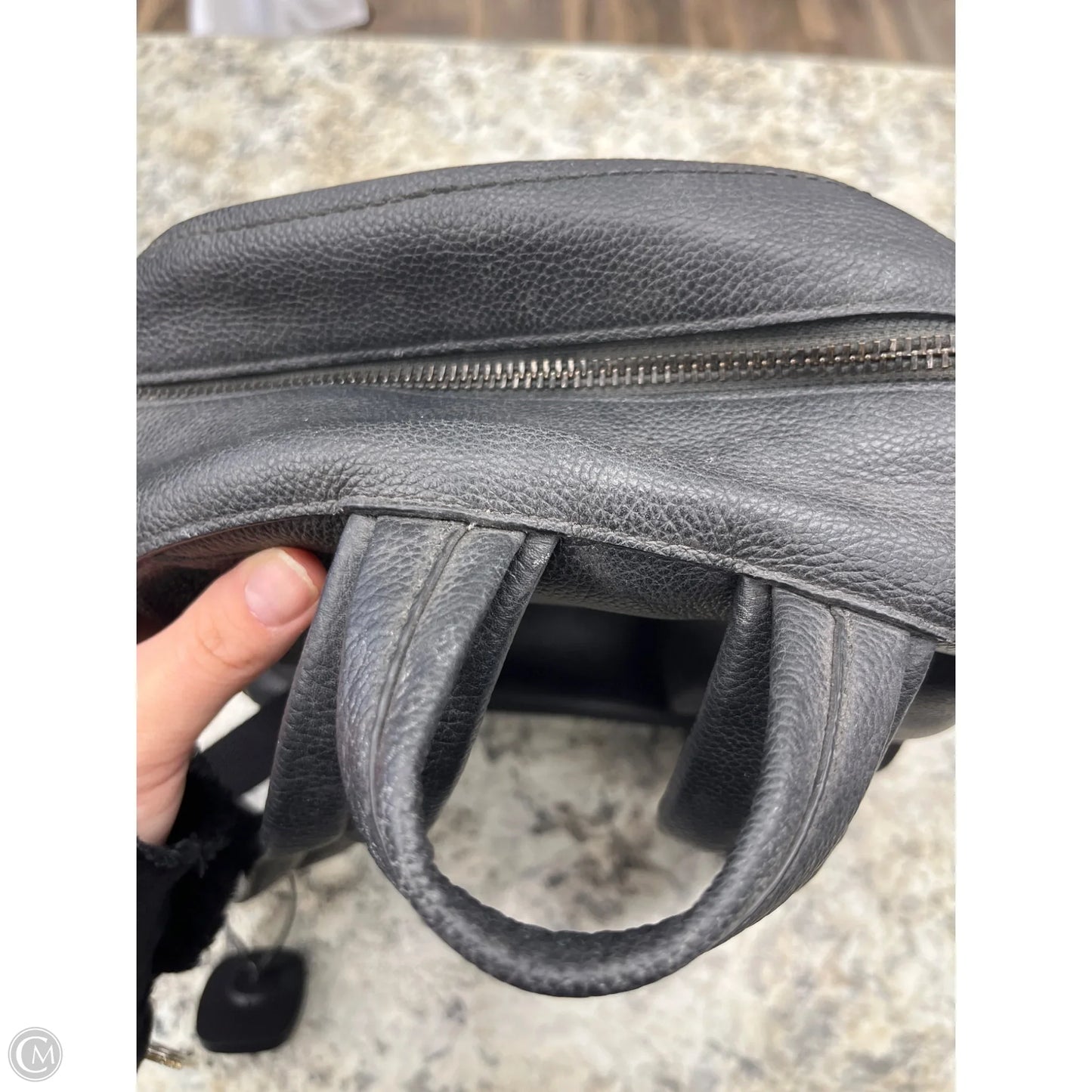 Backpack Designer By Coach, Size: Medium