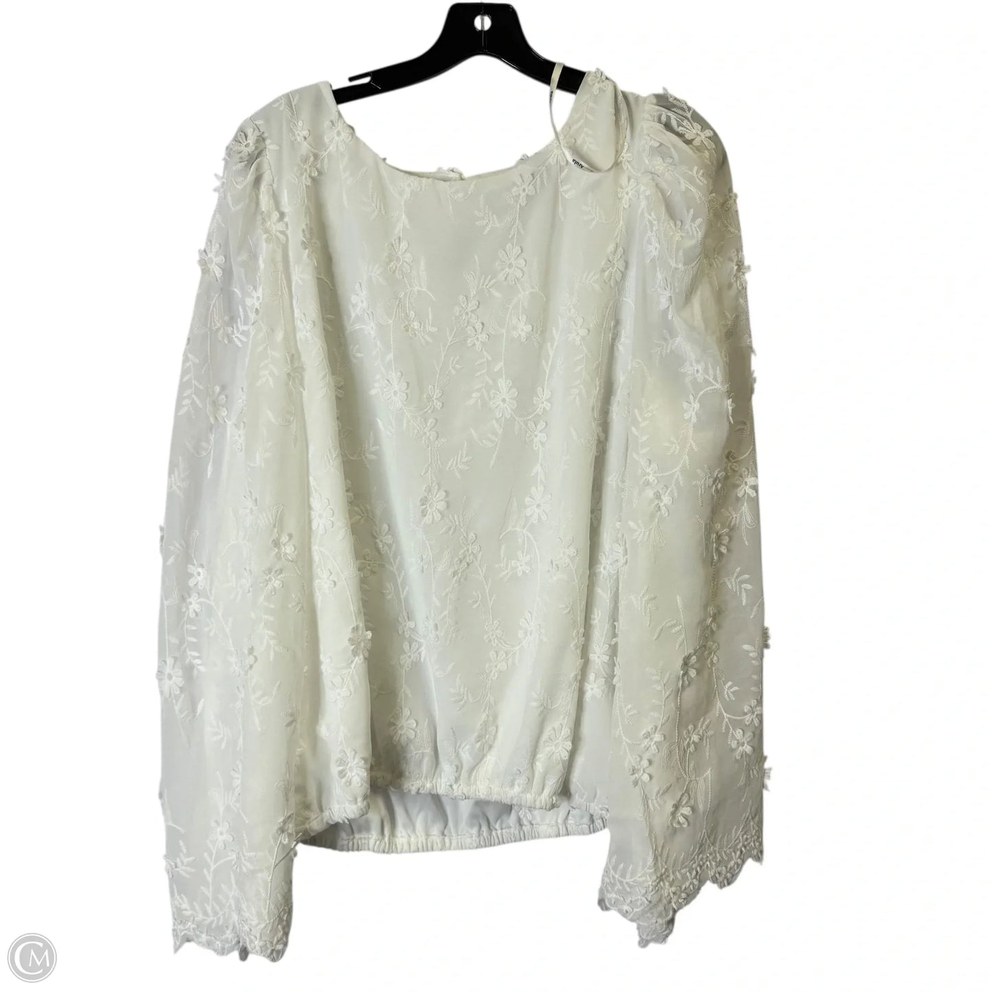 Blouse Long Sleeve By Arula In White, Size: 2x