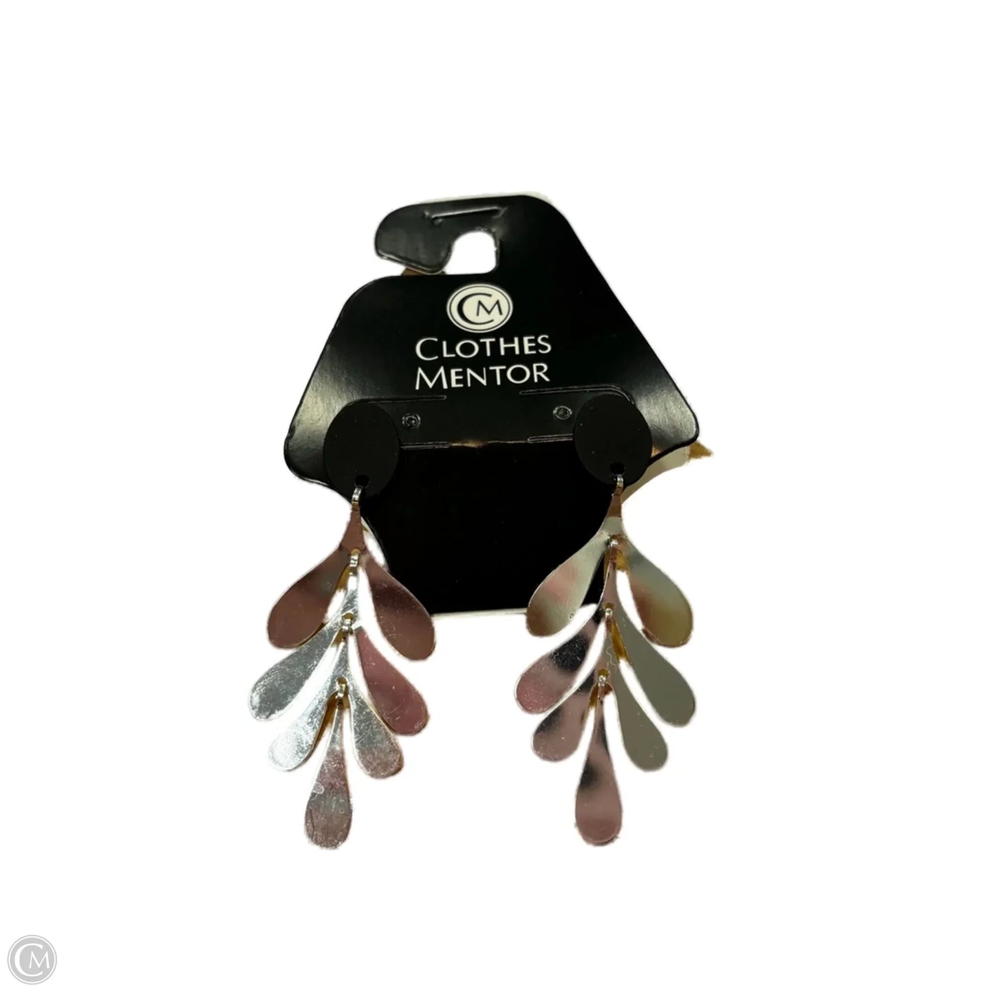 Earrings Dangle/drop By Clothes Mentor