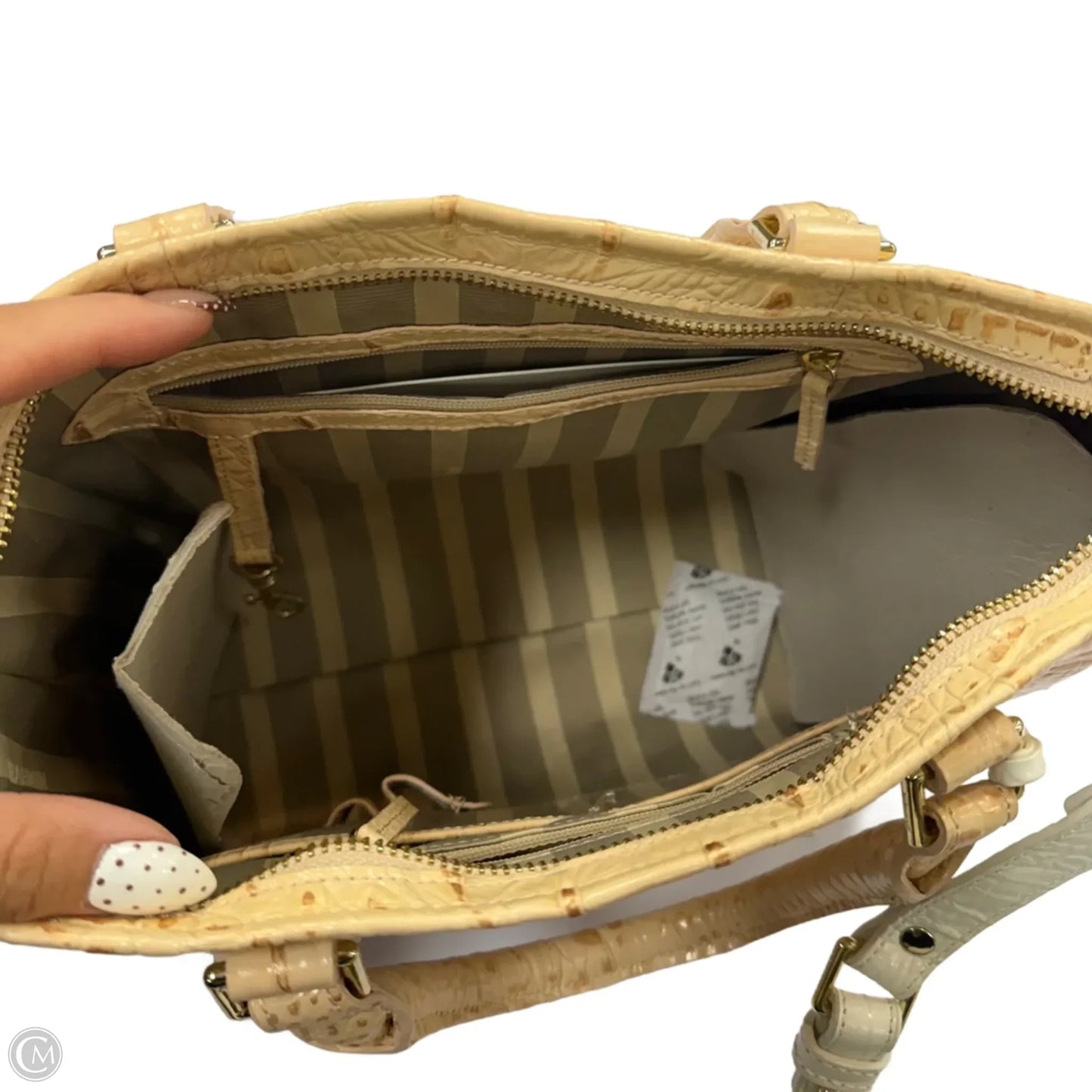 Handbag Designer By Brahmin, Size: Medium