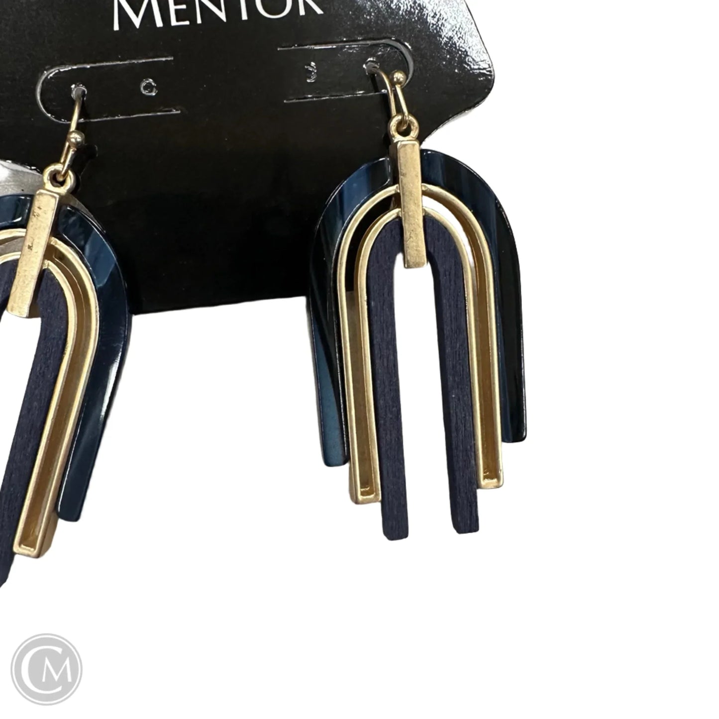 Earrings Dangle/drop By Clothes Mentor