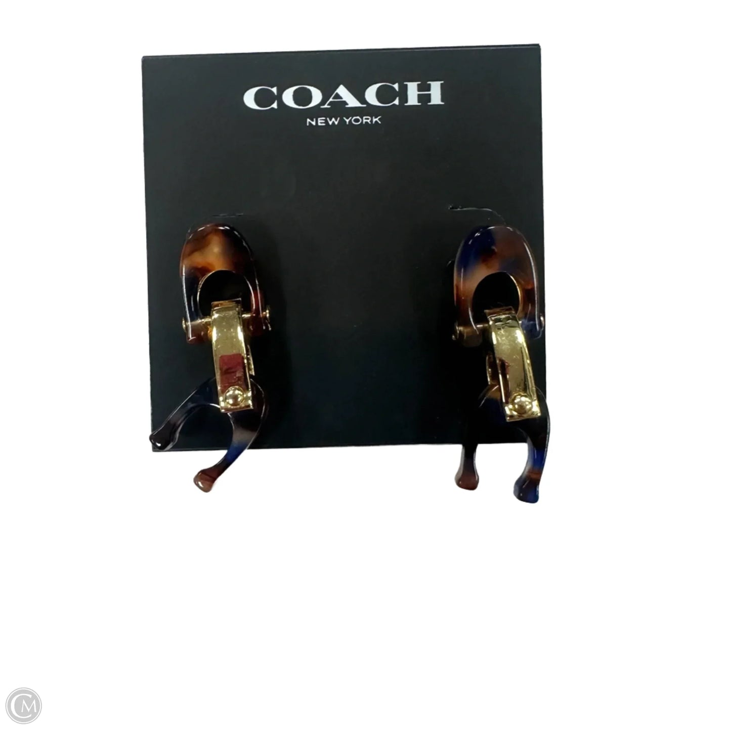 Earrings Designer By Coach