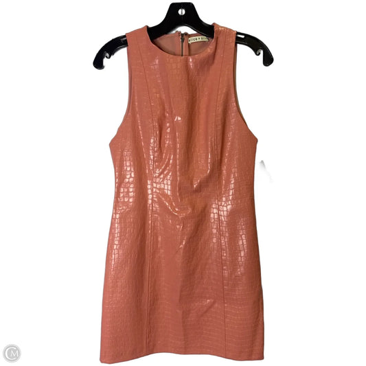 Dress Work By Cmc In Pink, Size: 4