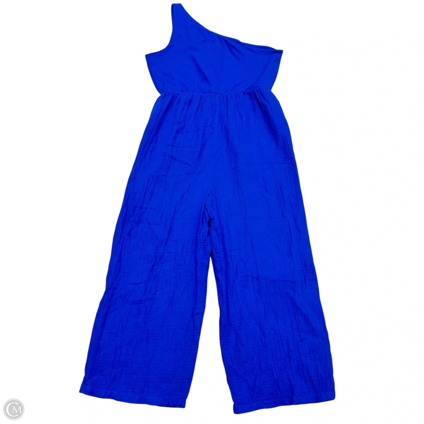 Jumpsuit By Loft In Blue, Size: Xl
