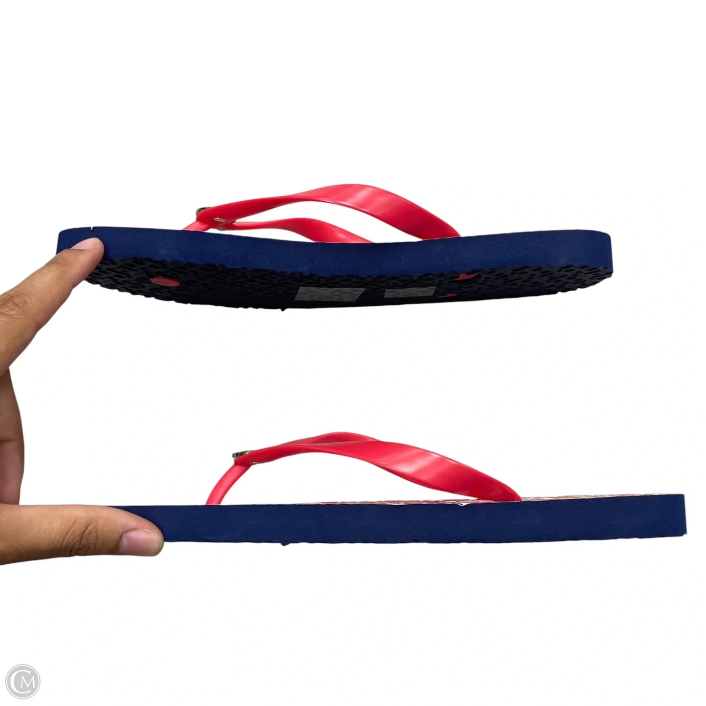 Sandals Designer By Tory Burch In Blue & Red & White, Size: 9