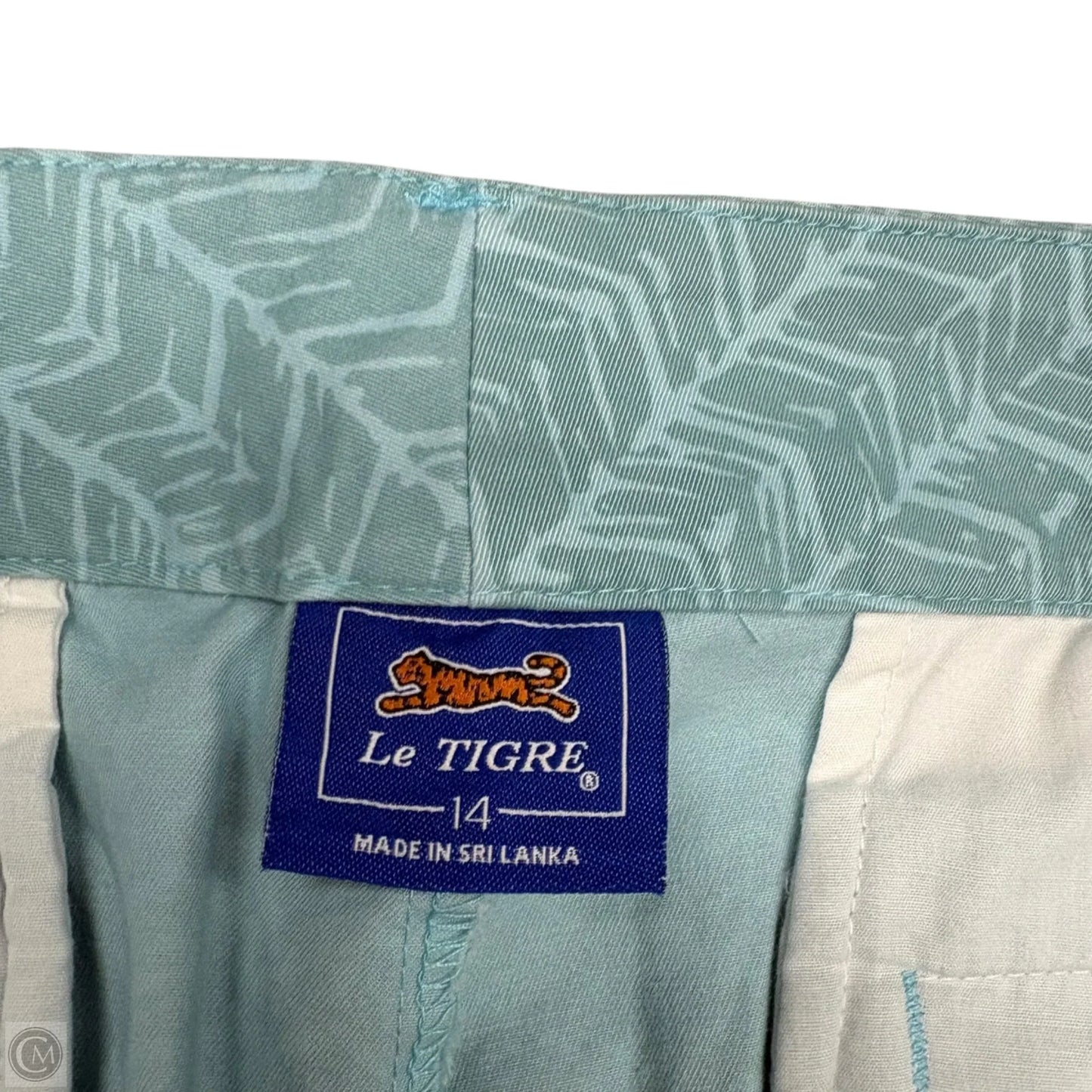 Shorts By Clothes Mentor In Aqua, Size: 14