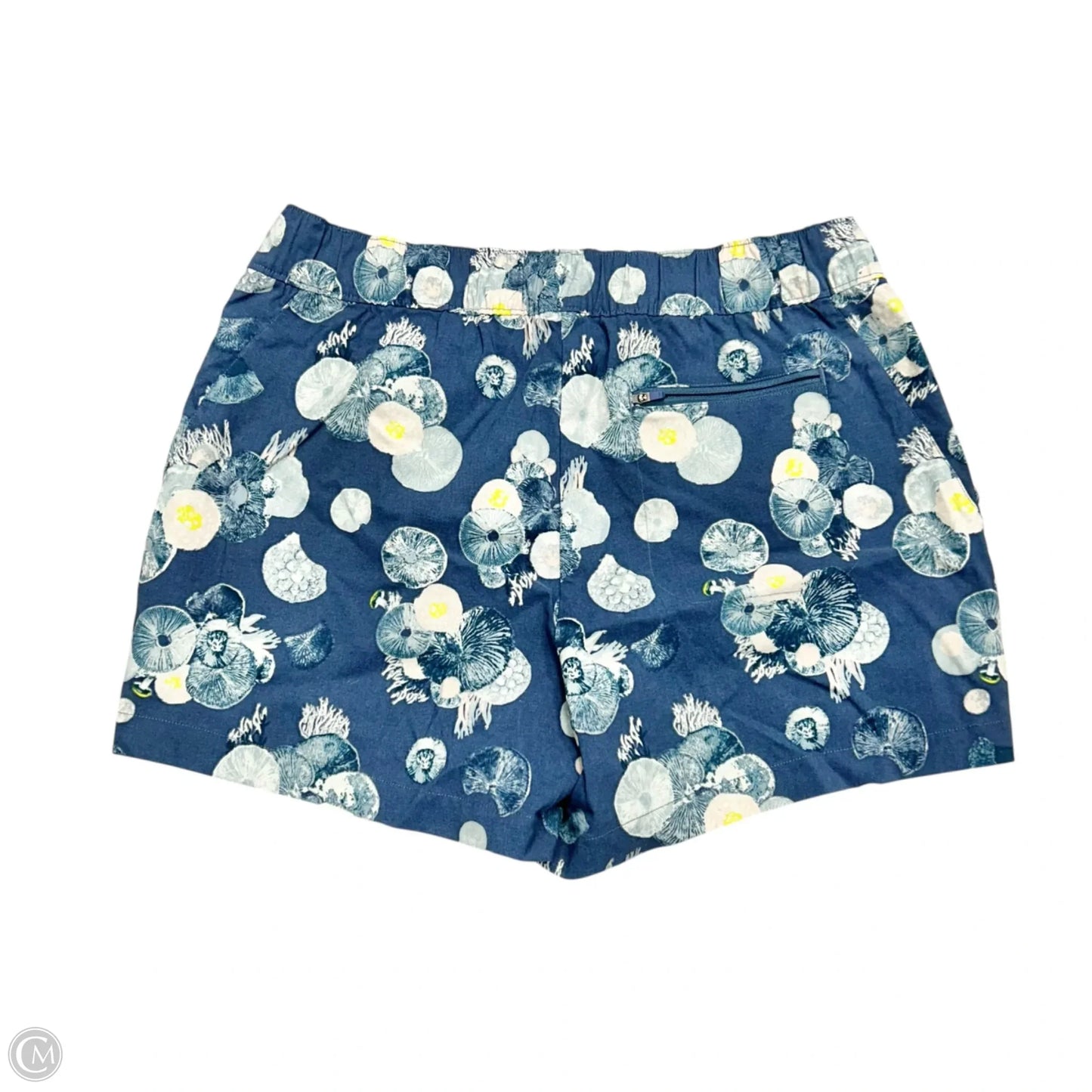 Athletic Shorts By The North Face In Blue, Size: L