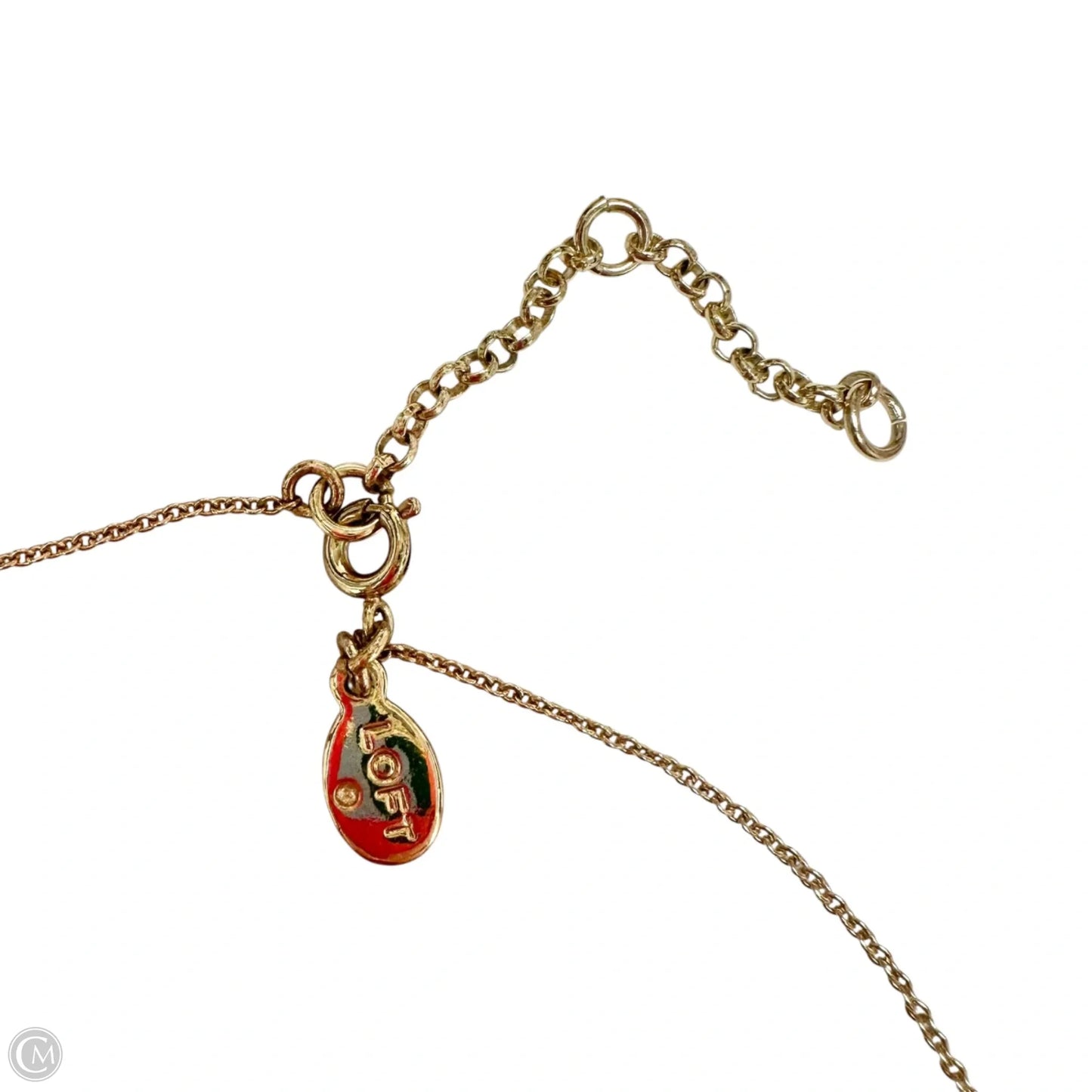 Necklace Chain By Loft