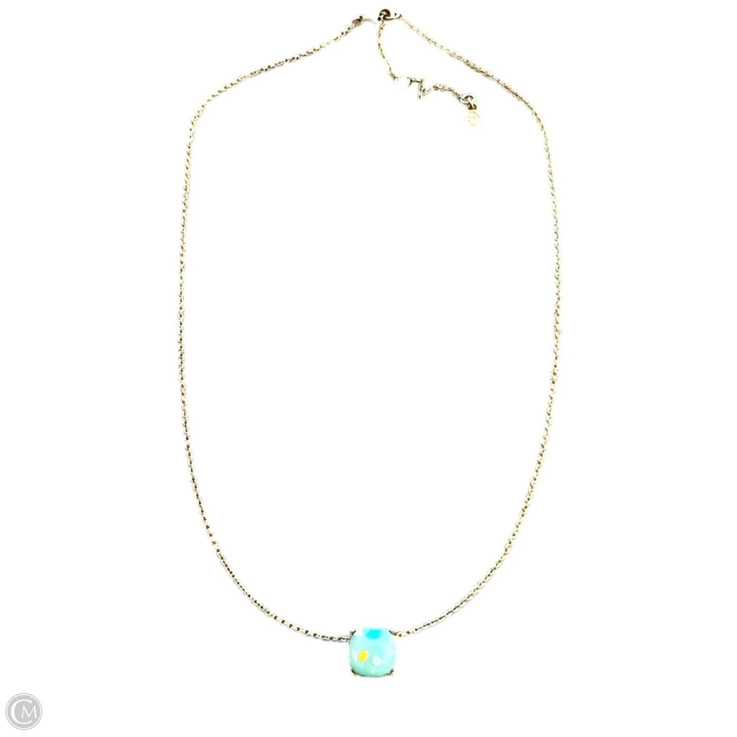 Necklace Chain By Spartina