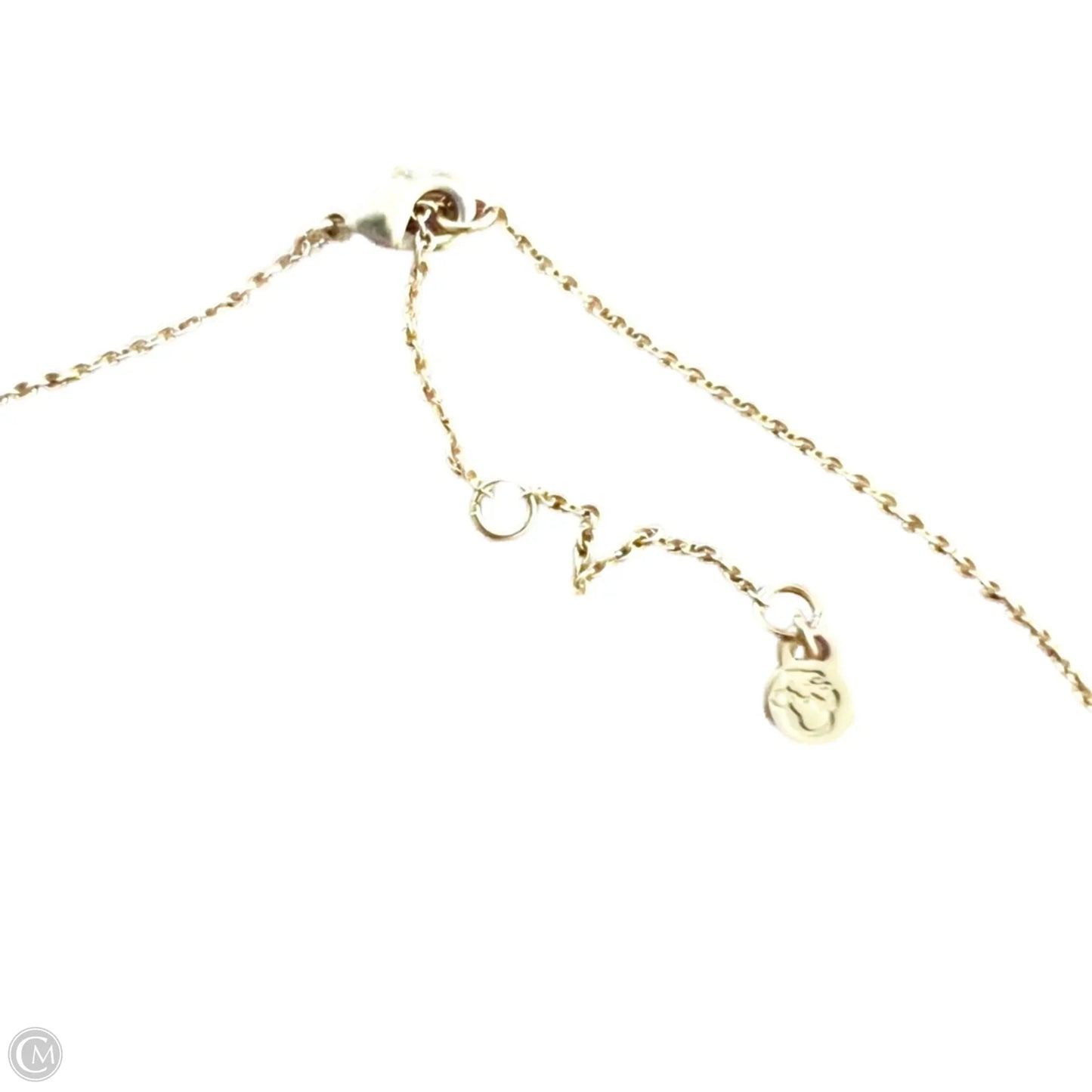 Necklace Chain By Spartina
