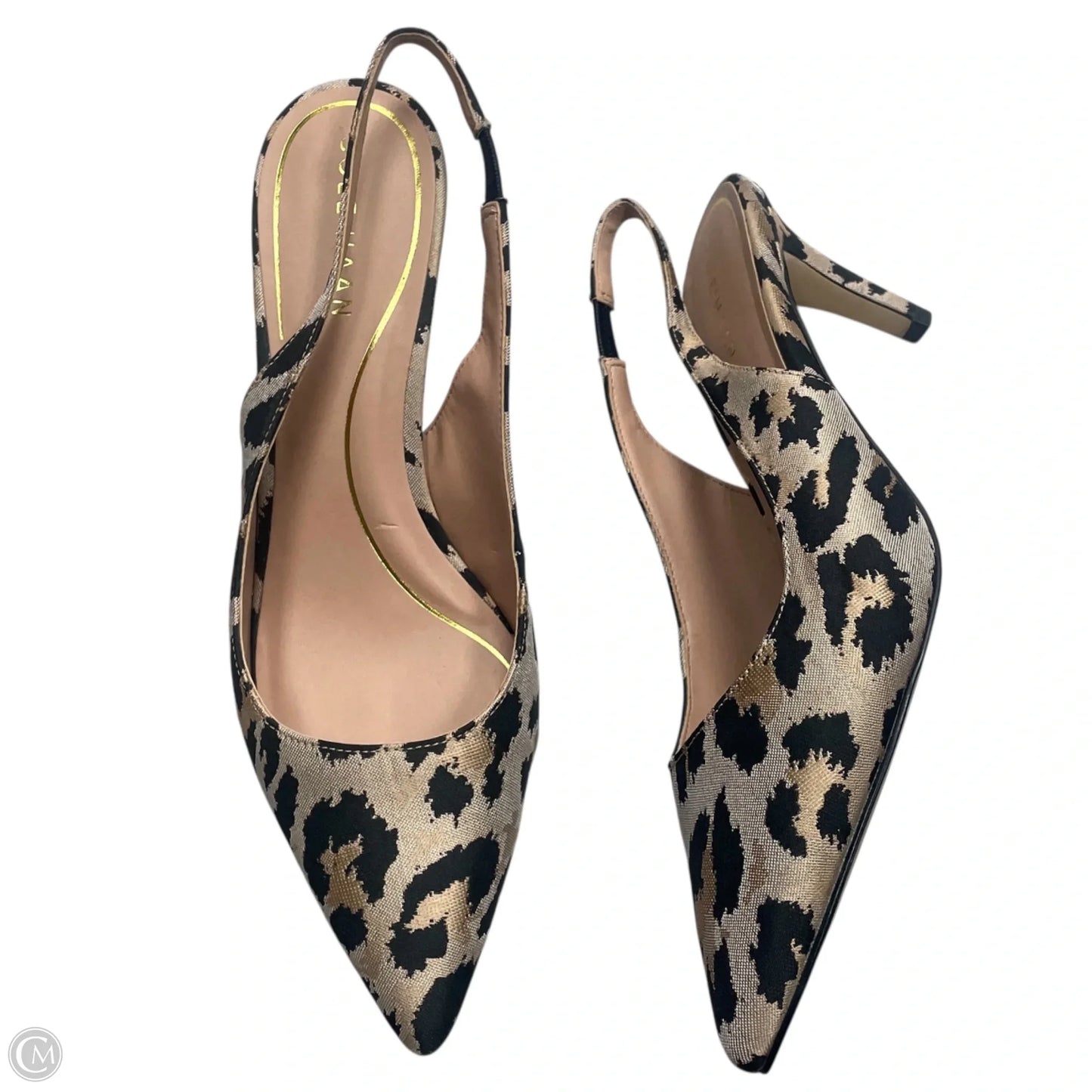 Shoes Heels Kitten By Cole-haan In Leopard Print, Size: 8