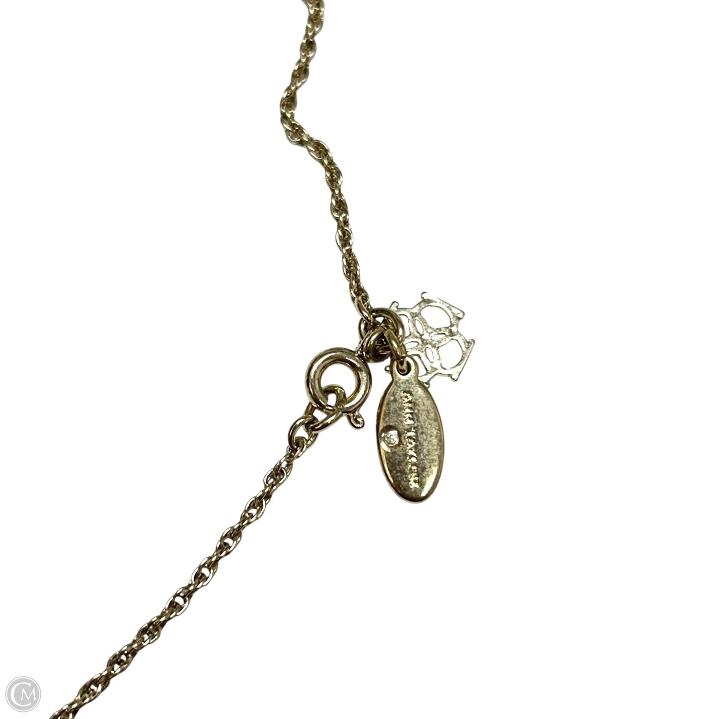 Necklace Chain By Ann Taylor