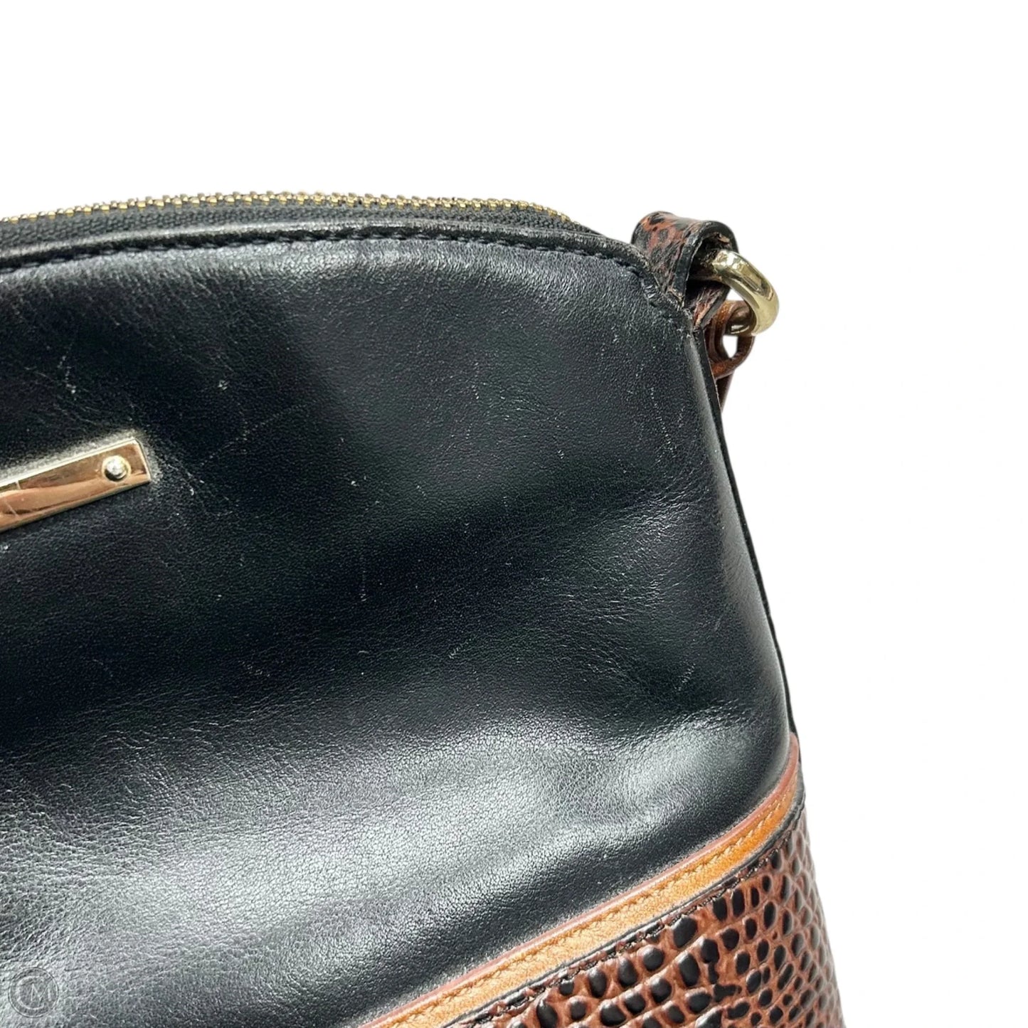 Crossbody Designer By Brahmin, Size: Small