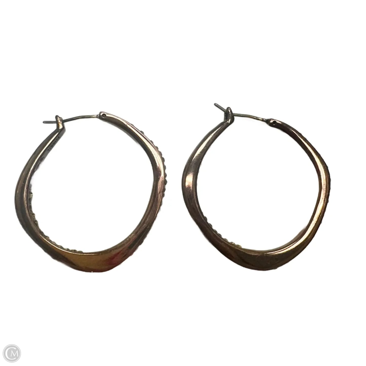 Earrings Hoop By Fossil