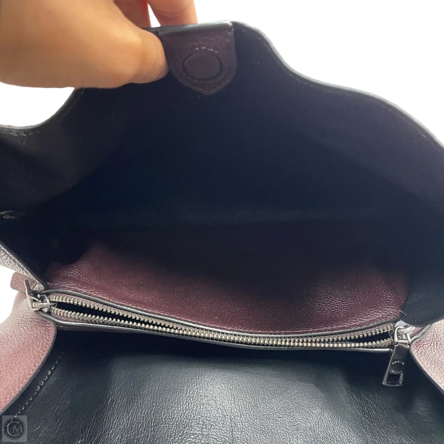 Handbag Designer By Coach, Size: Large