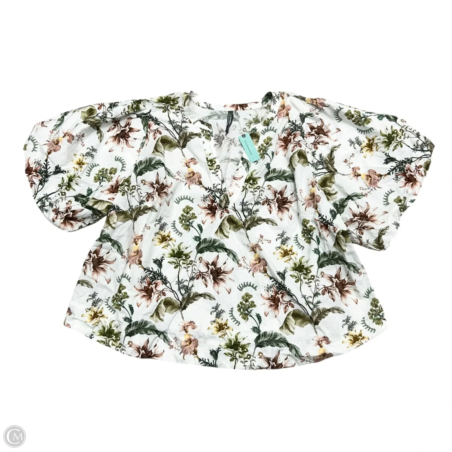 Top Short Sleeve By Anthropologie In Green & White, Size: 3x