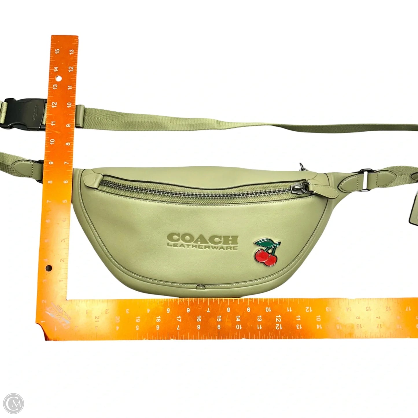 Belt Bag Designer By Coach, Size: Medium
