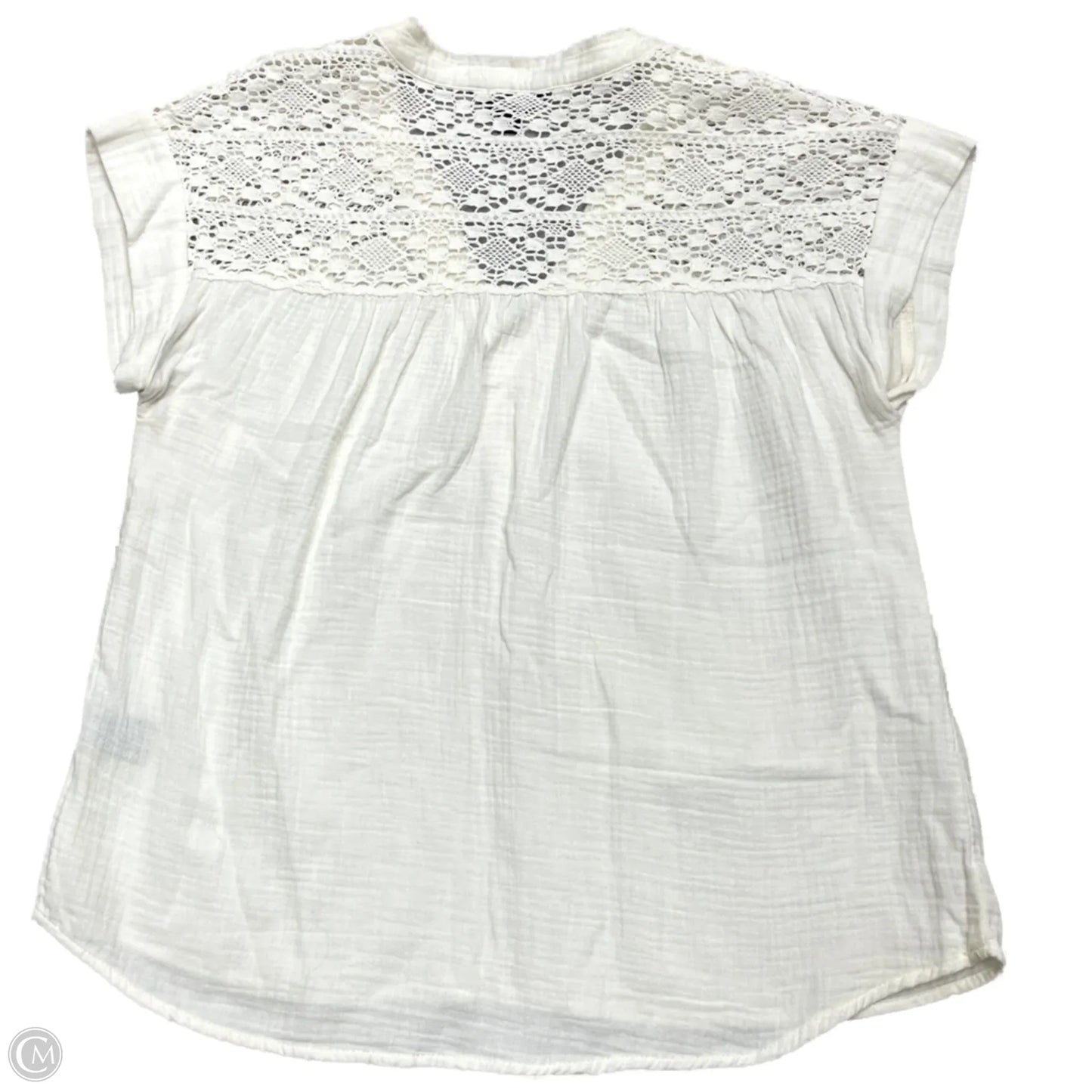 Top Short Sleeve Designer By Frye In Cream, Size: M
