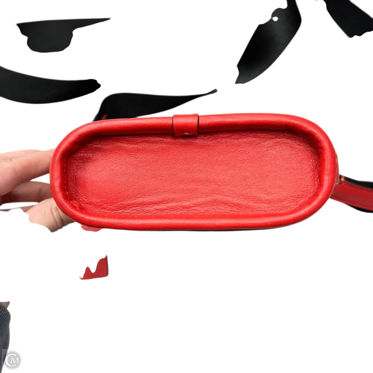 Crossbody Designer By Coach, Size: Small