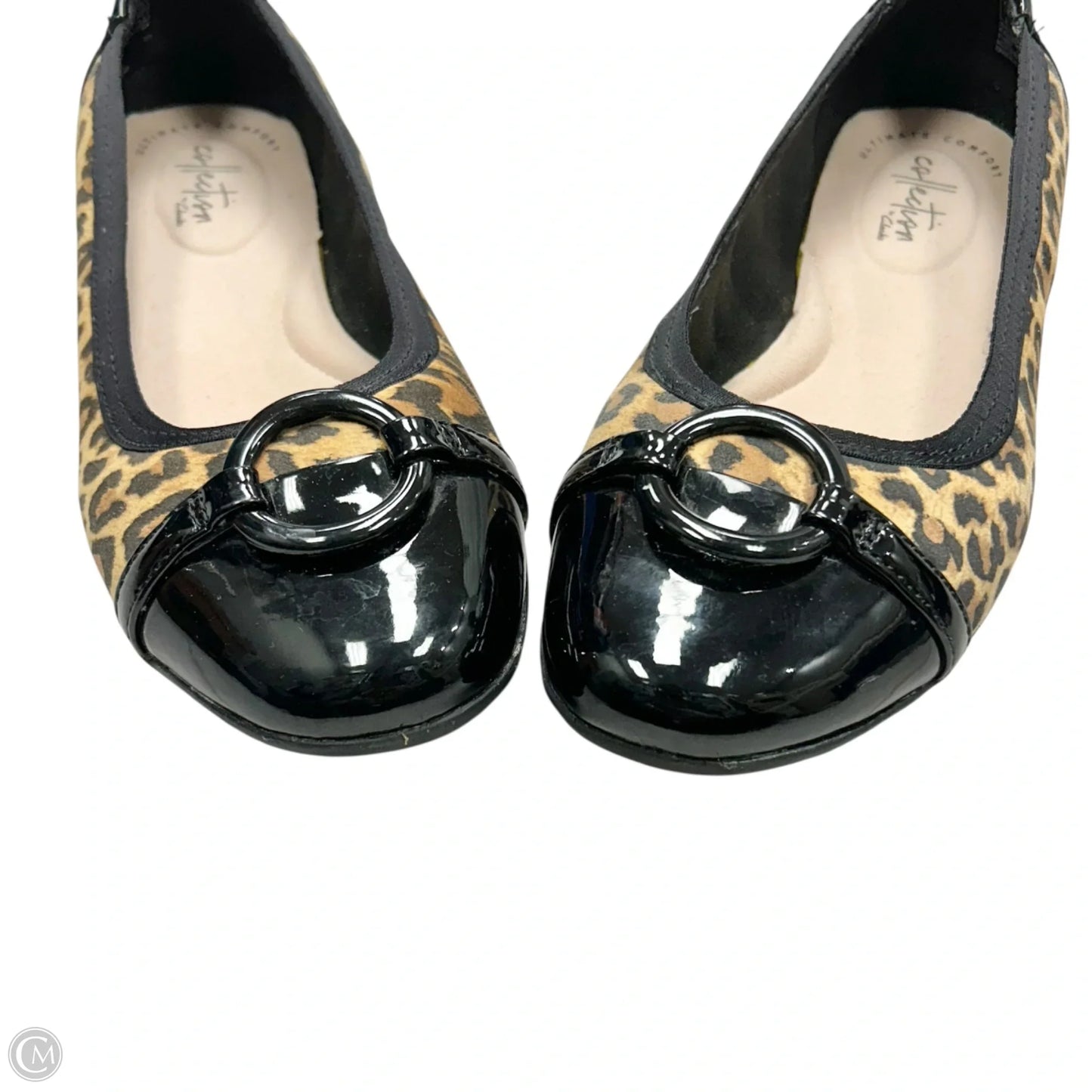 Shoes Flats By Clarks In Leopard Print, Size: 7