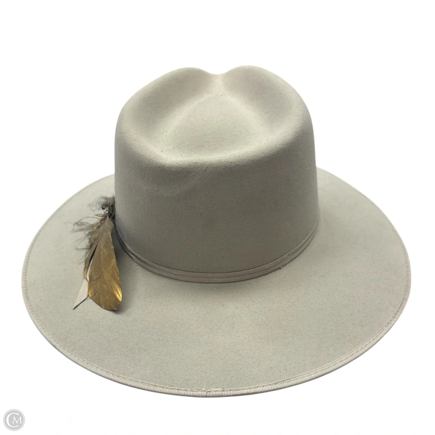 Hat Fedora By Stetson