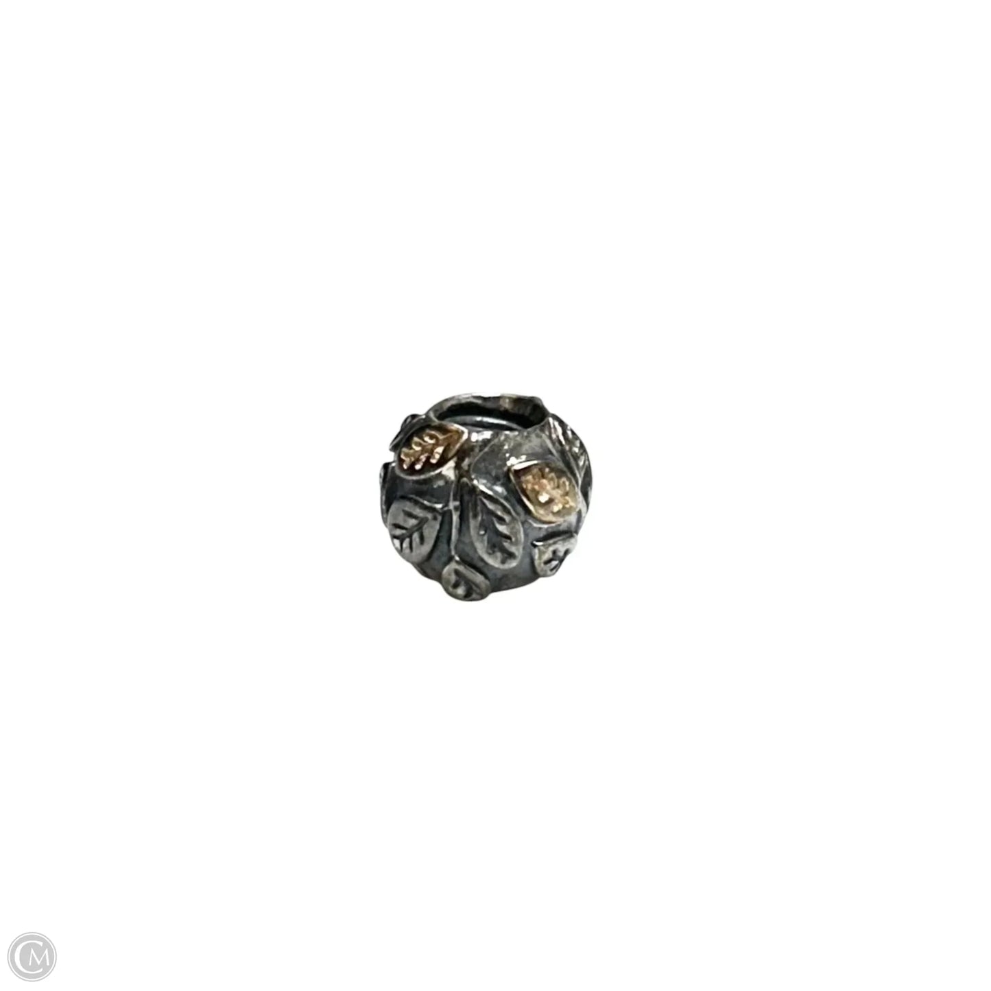 Jewelry Charm By Pandora