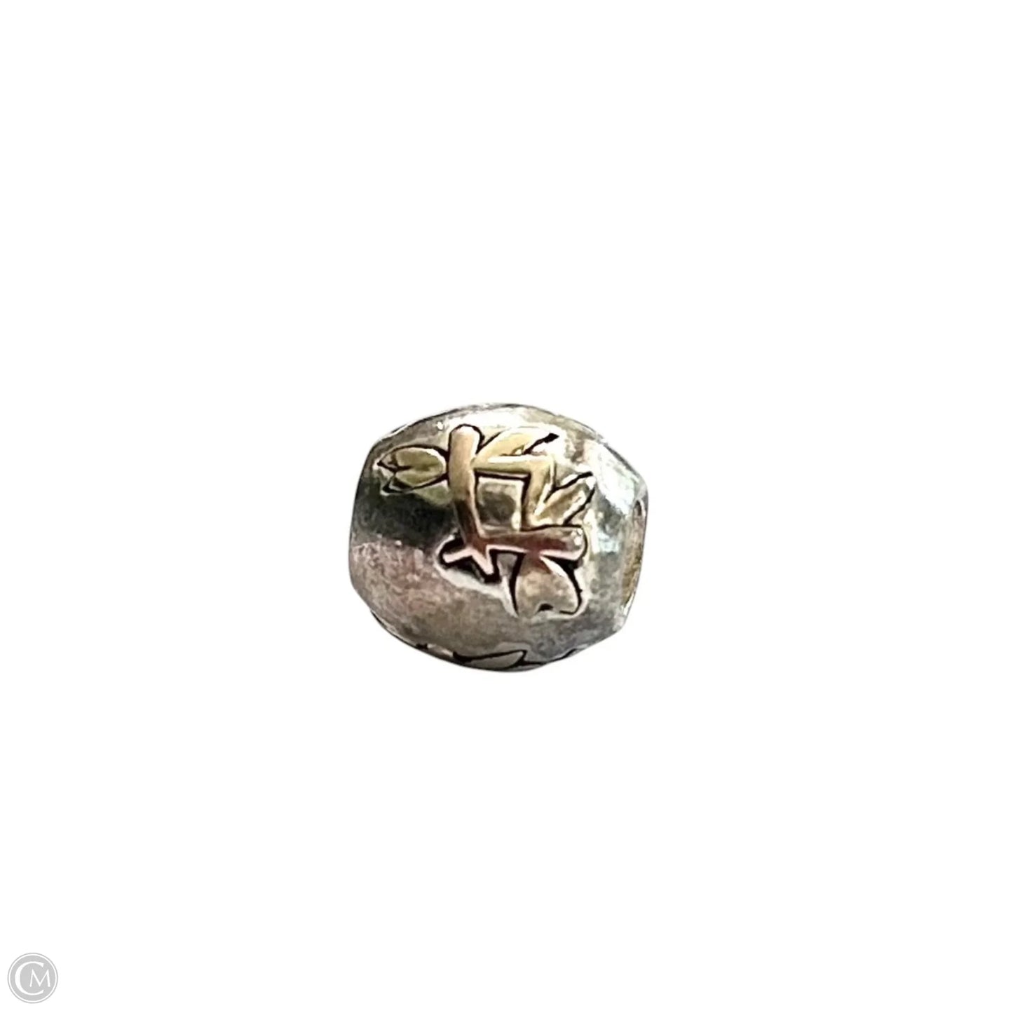 Jewelry Charm By Chamilia