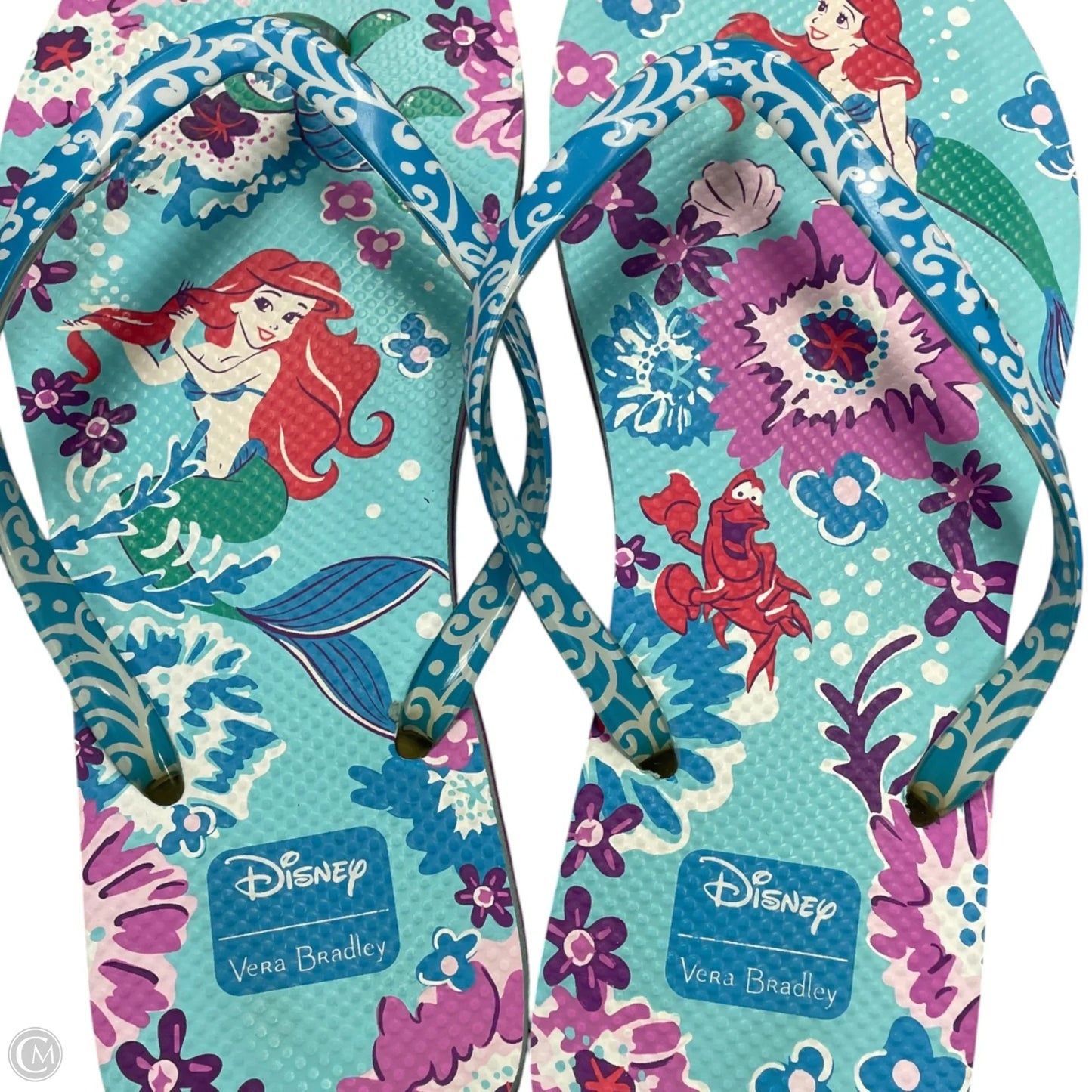 Sandals Flip Flops By Vera Bradley In Blue & White, Size: 7