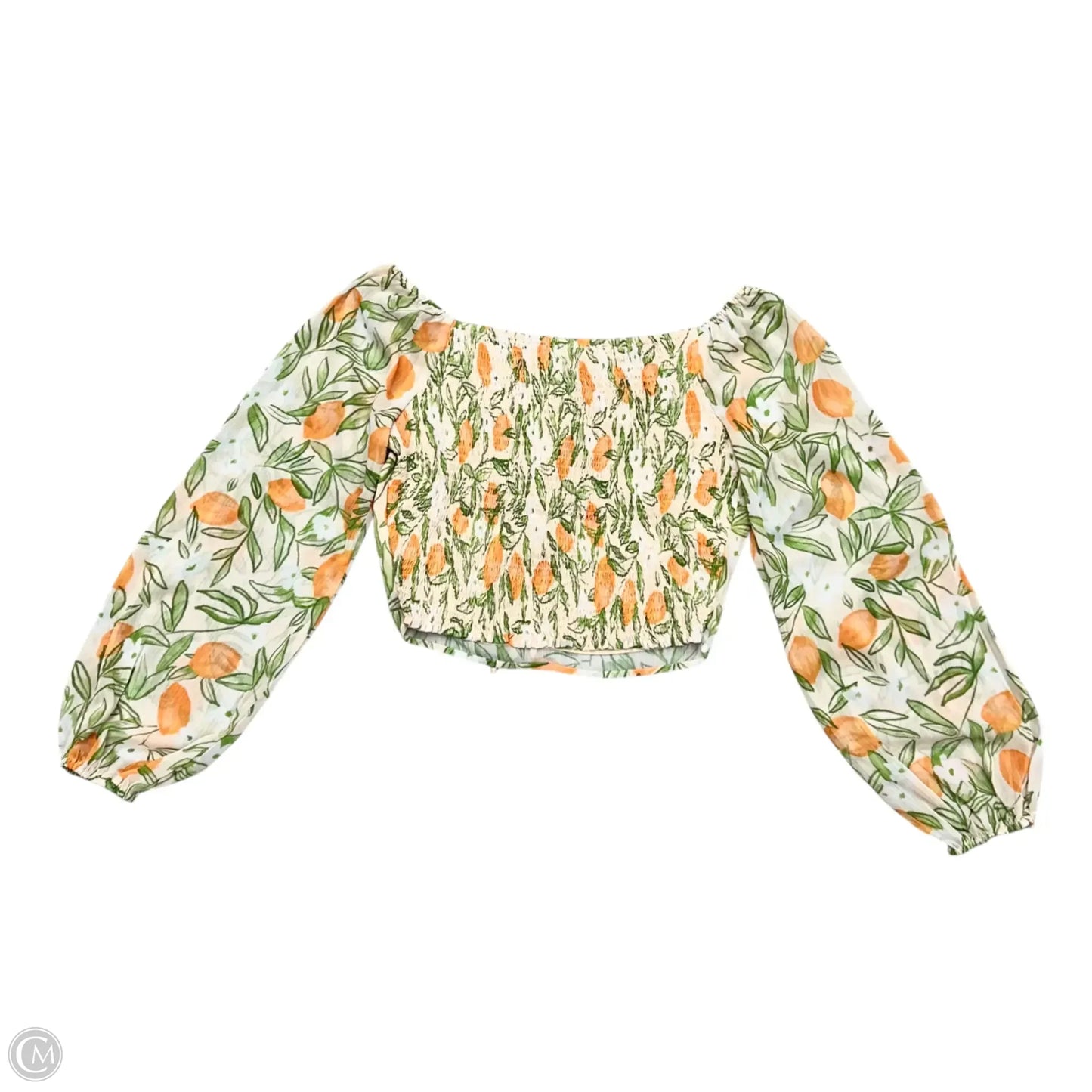 Top Long Sleeve By Sadie & Sage In Cream & Green, Size: M